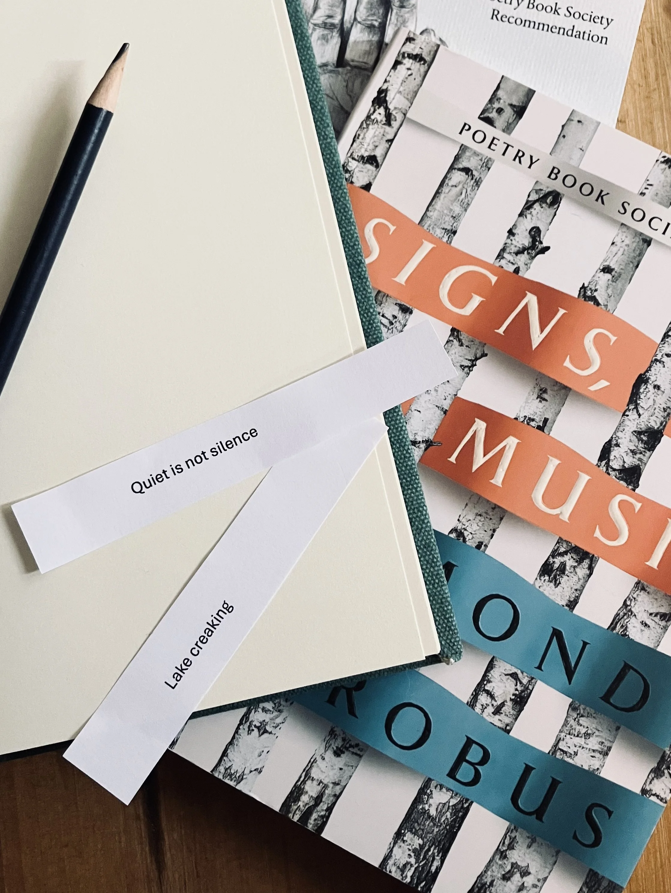 RuptureXIBT Writing Workshop with Anna Johnson (January) 