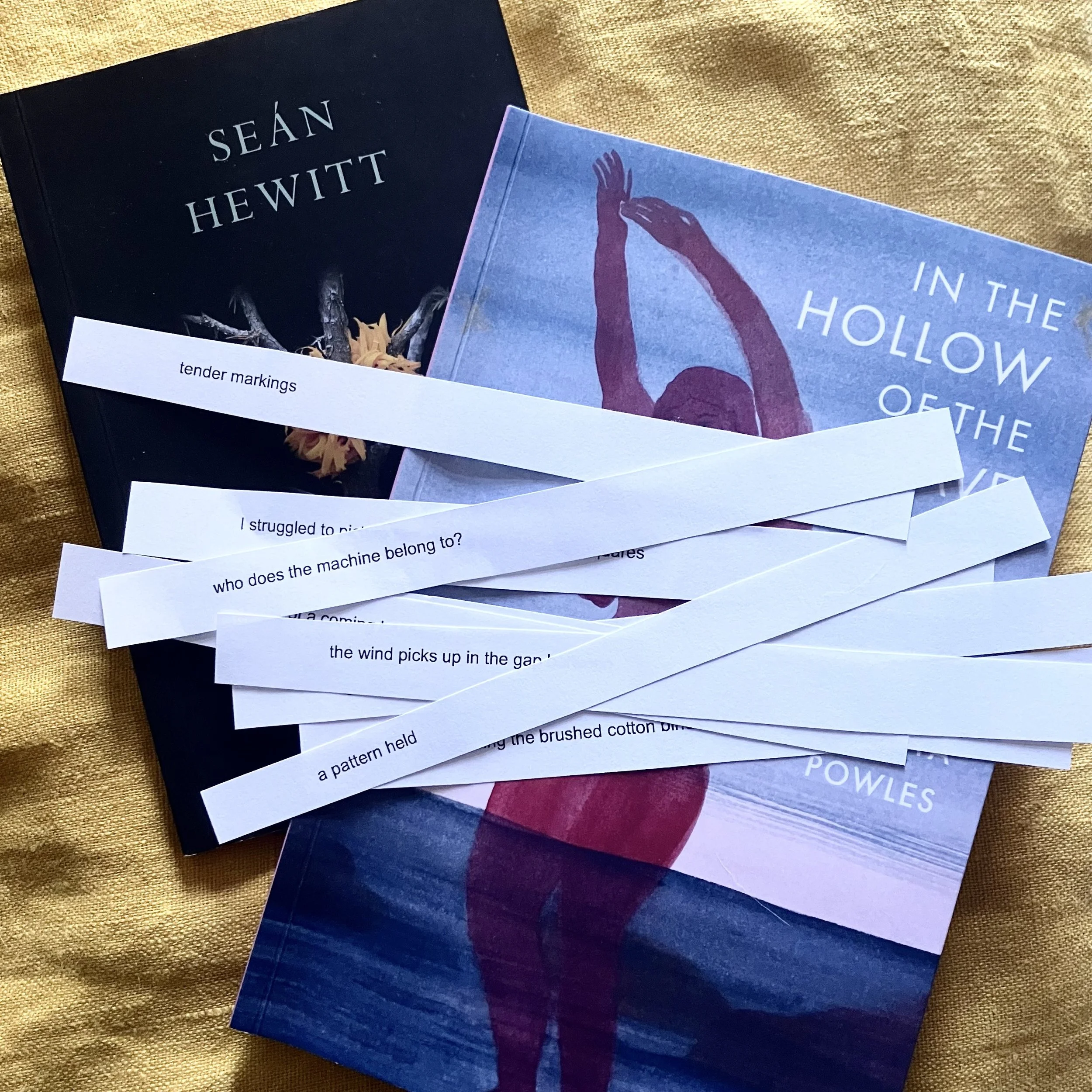 RuptureXIBT Writing Workshop with Anna Johnson (March)