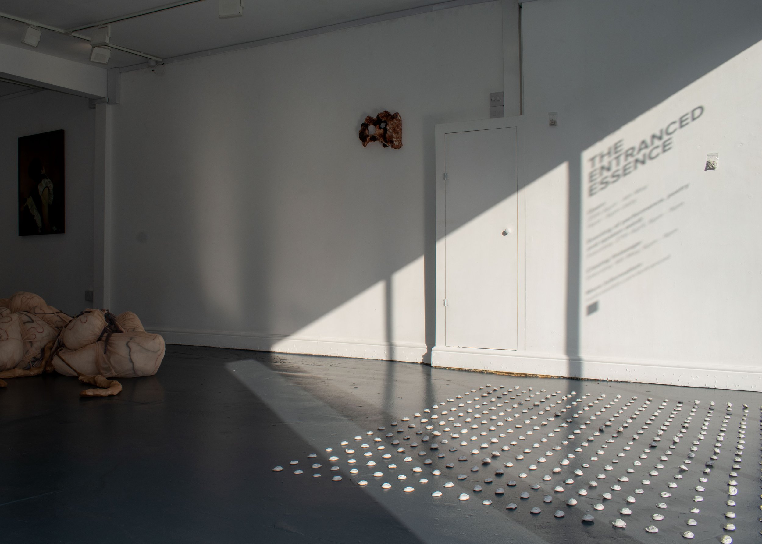 THE_ENTRANCED_ESSENCE_OPENING_DAY_DSC_0189.jpg
