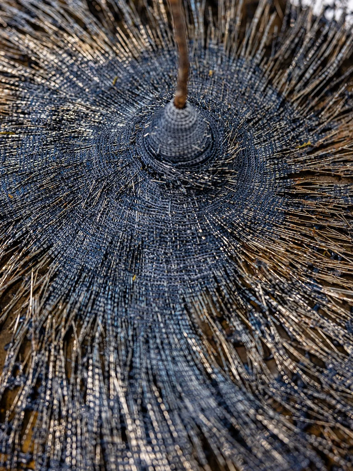 False Mycelium_Barber_detail.jpg