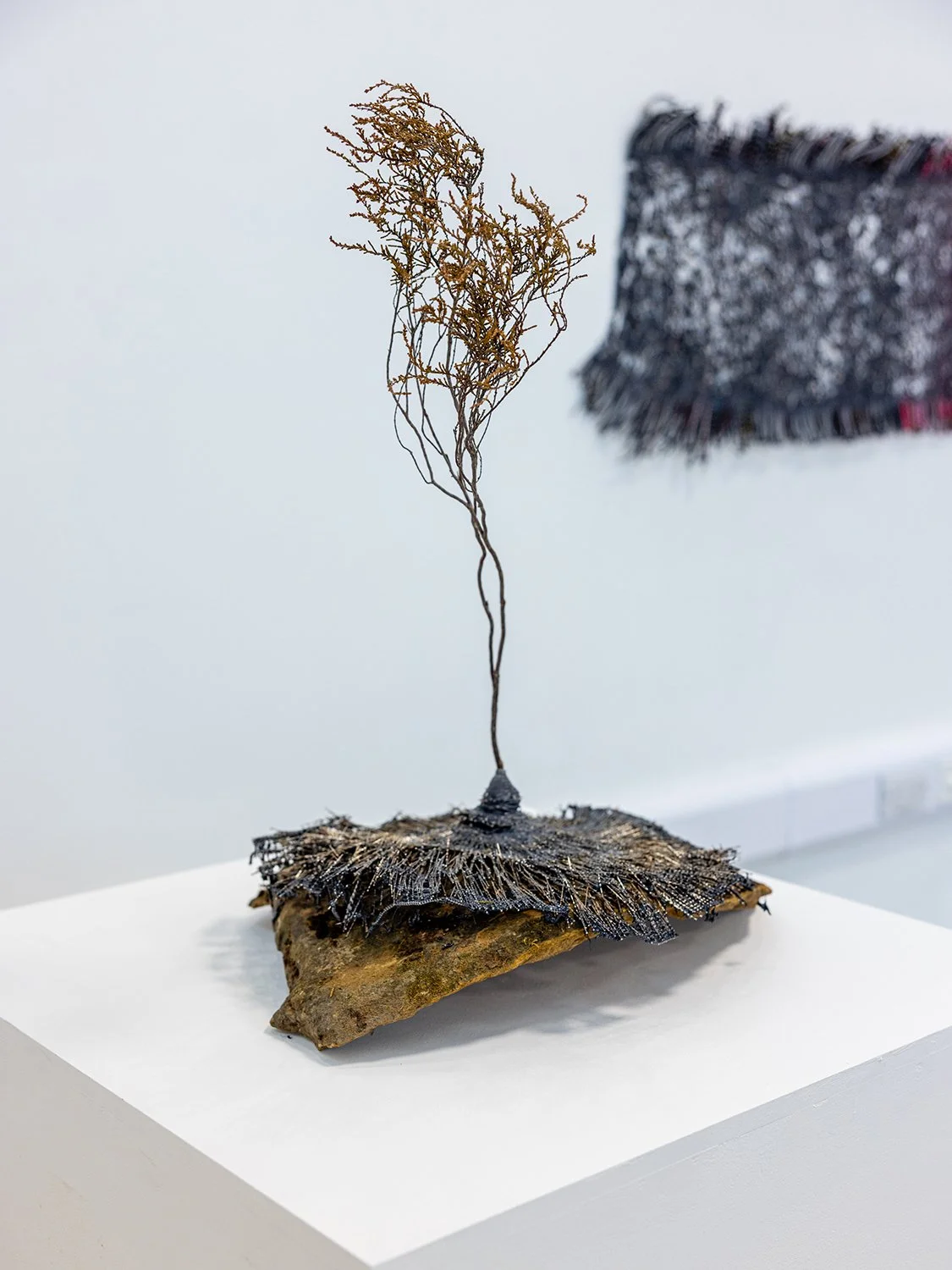 False Mycelium_Barber_2025.jpg