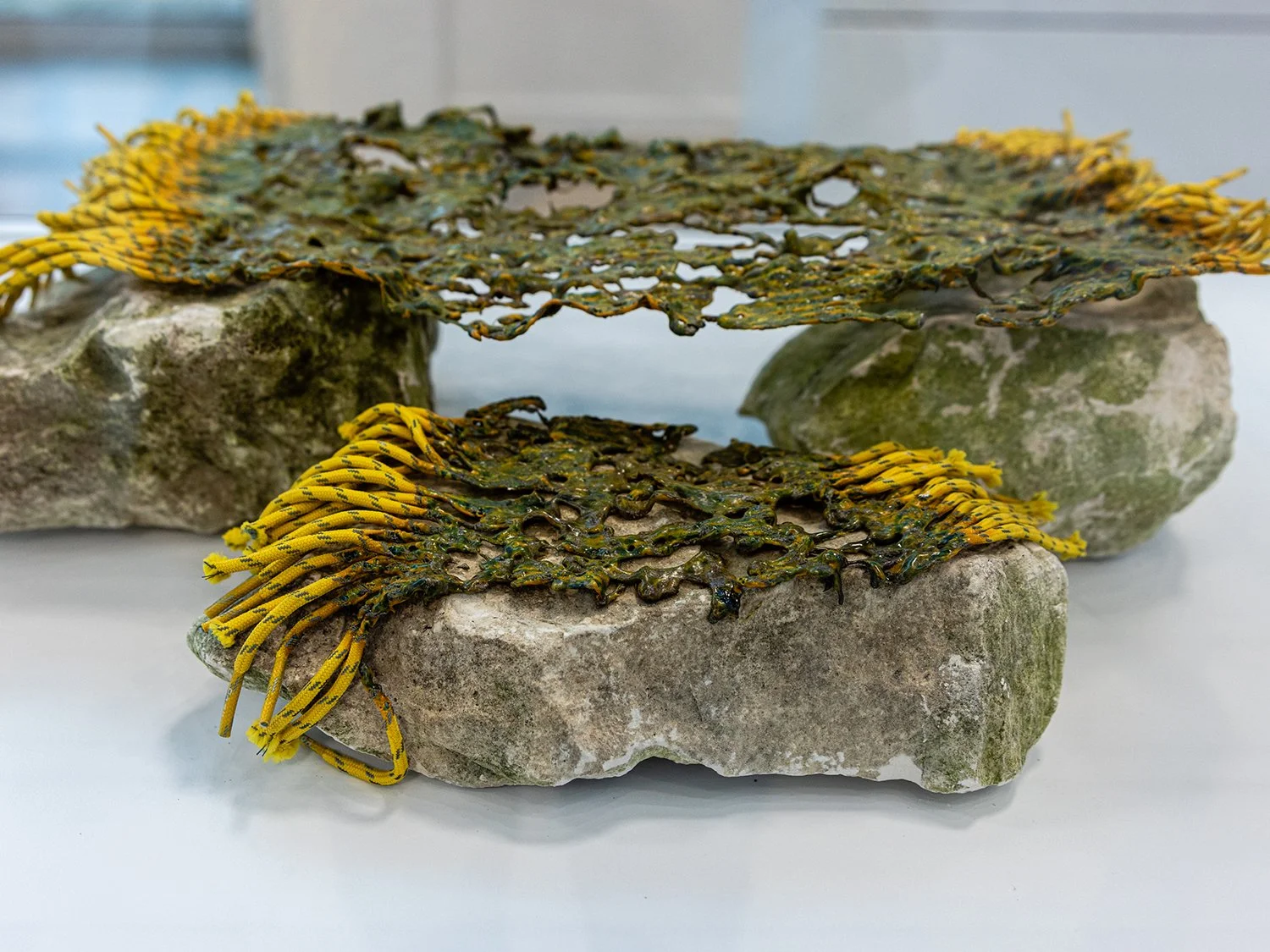 Porous Boundaries_Barber_2025.jpg