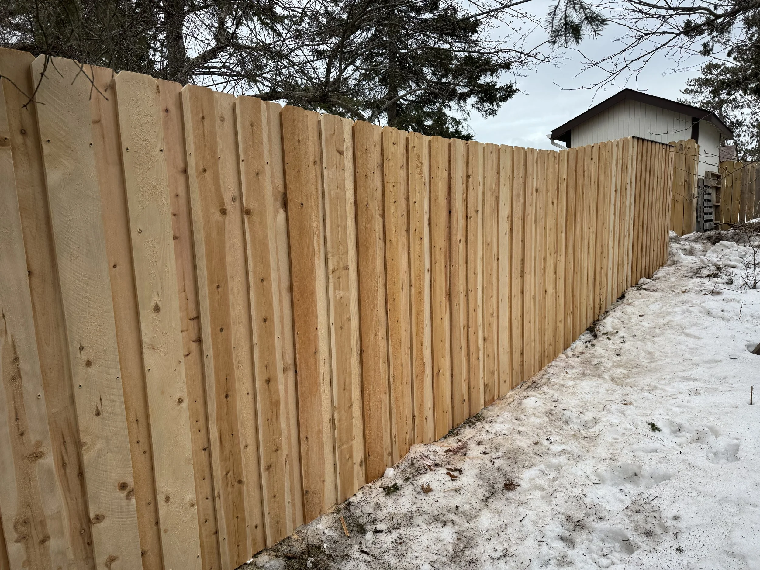 IMG_2561.jpeg