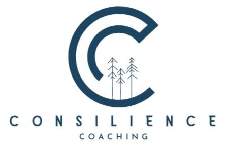 consilience coaching