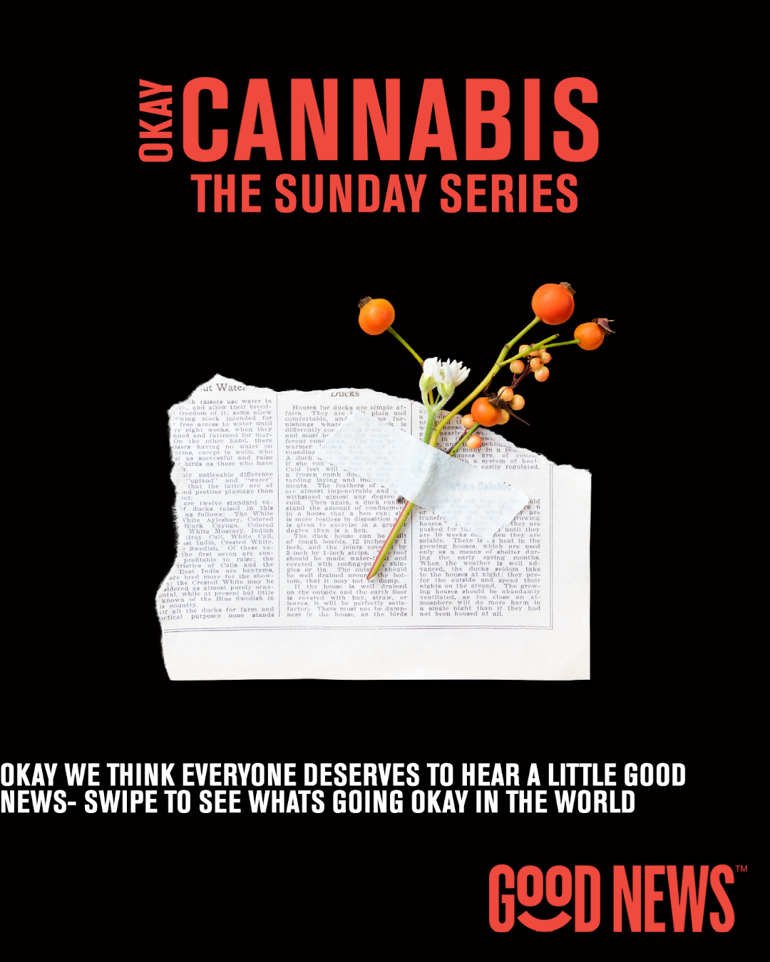 My project-1 (90).png