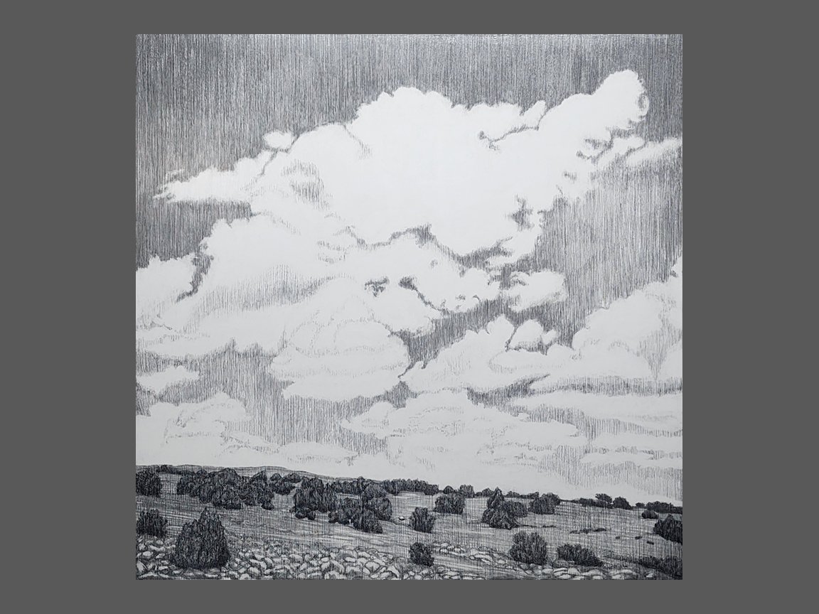 Terrains of Connectivity, 30x30x2, Graphite, Acrylic and Varnish on Wood Panel