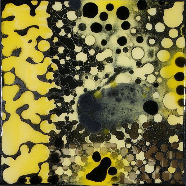 Proliferating #3628, 9.75 x 9.75 x 2.75in