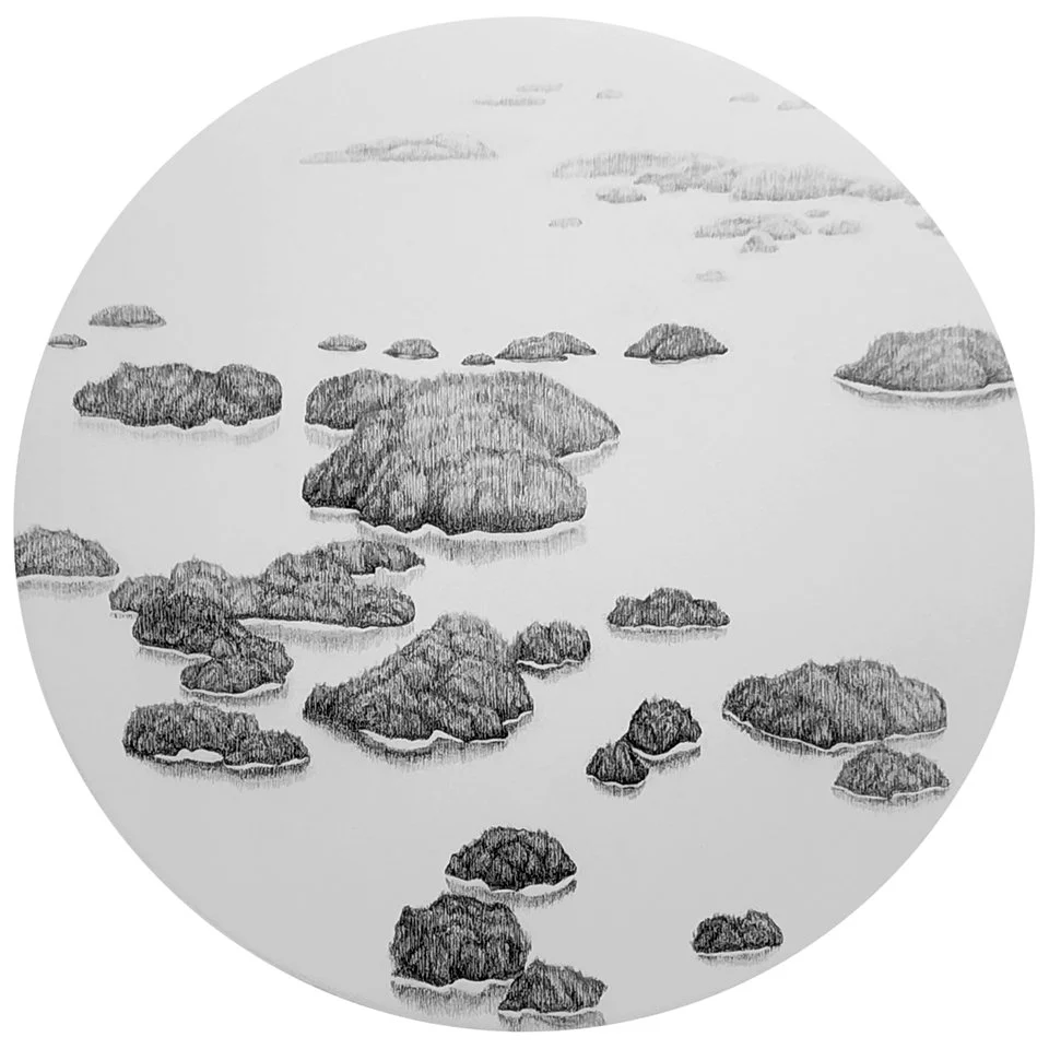 That Must be The Place, Graphite, Acrylic + Varnish on Wood Panel, 30" diameter x 1.5"
