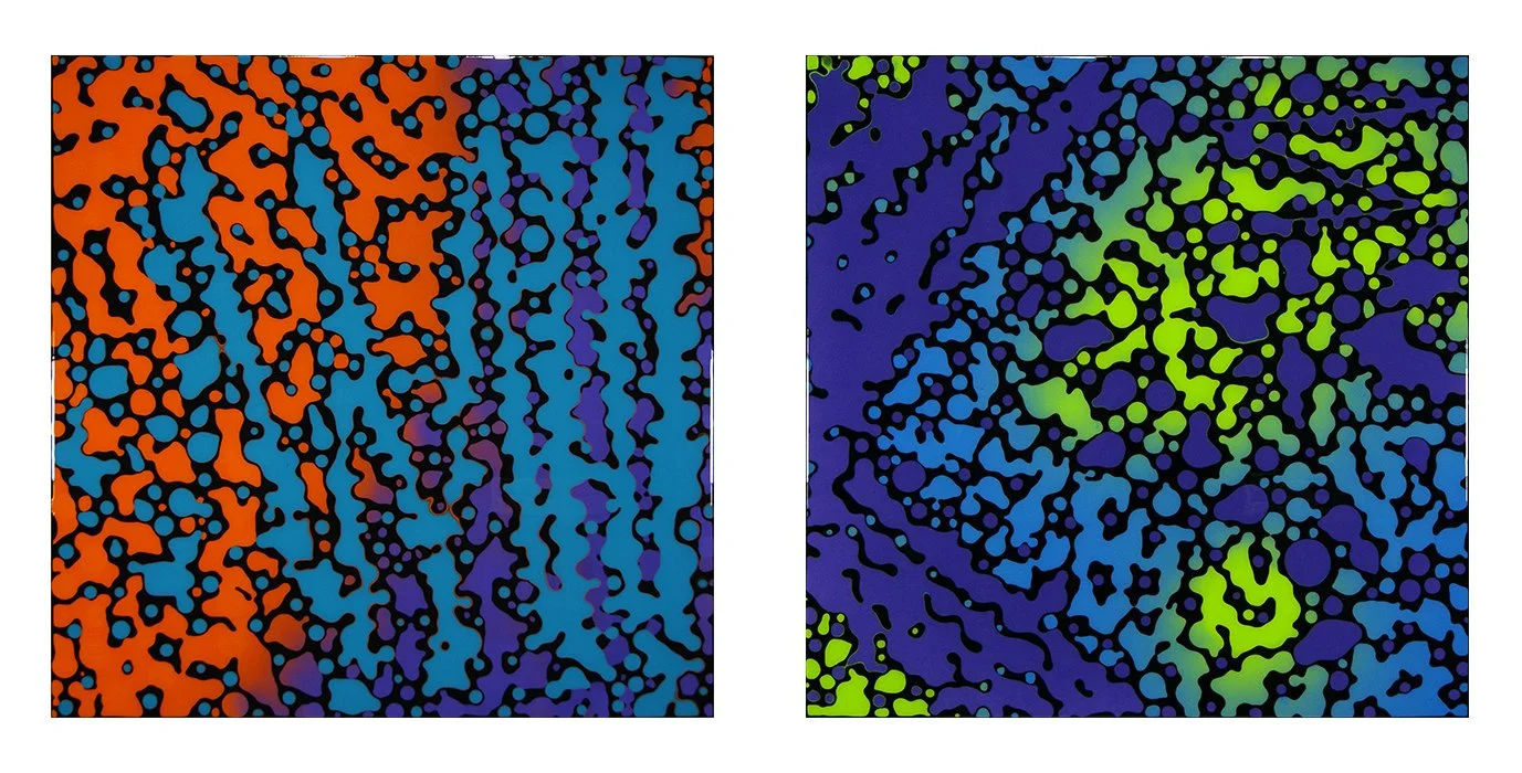 Proliferating Duo #5391 and #5346, 30x30 in, SOLD