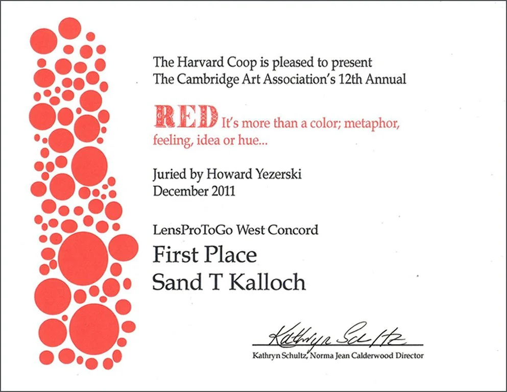 KALLOCH_SAND_T_Award-CAA-First-Place.jpg