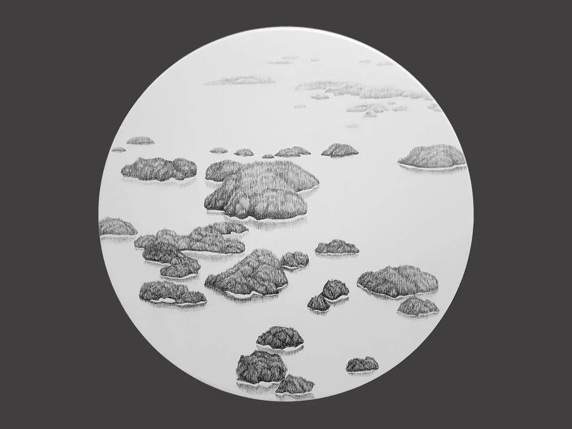 That Must be The Place, 30" diameter x 1.5", Graphite, Acrylic and Varnish on Wood Panel