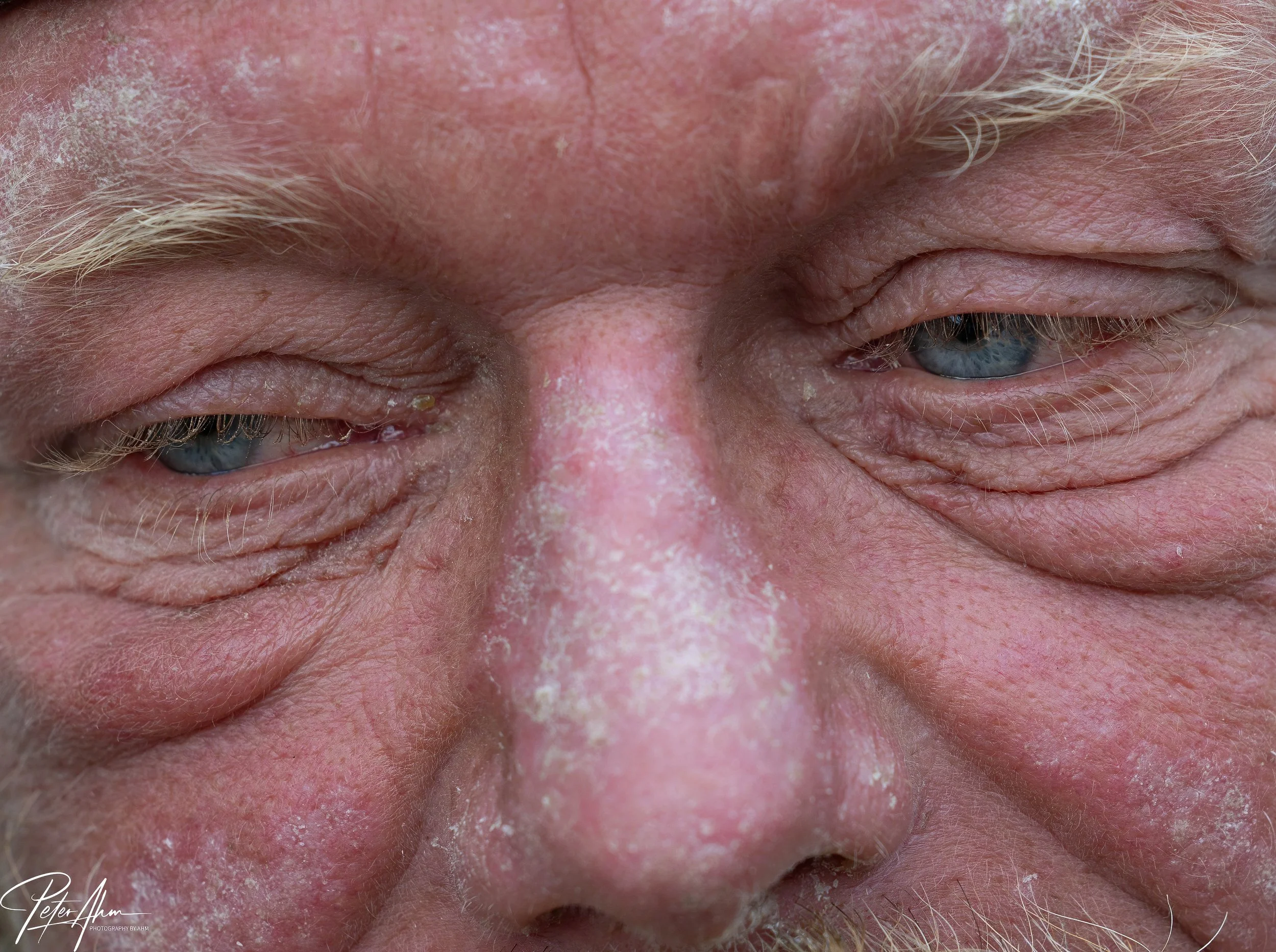 facesFace - 760 - 2026face.jpg