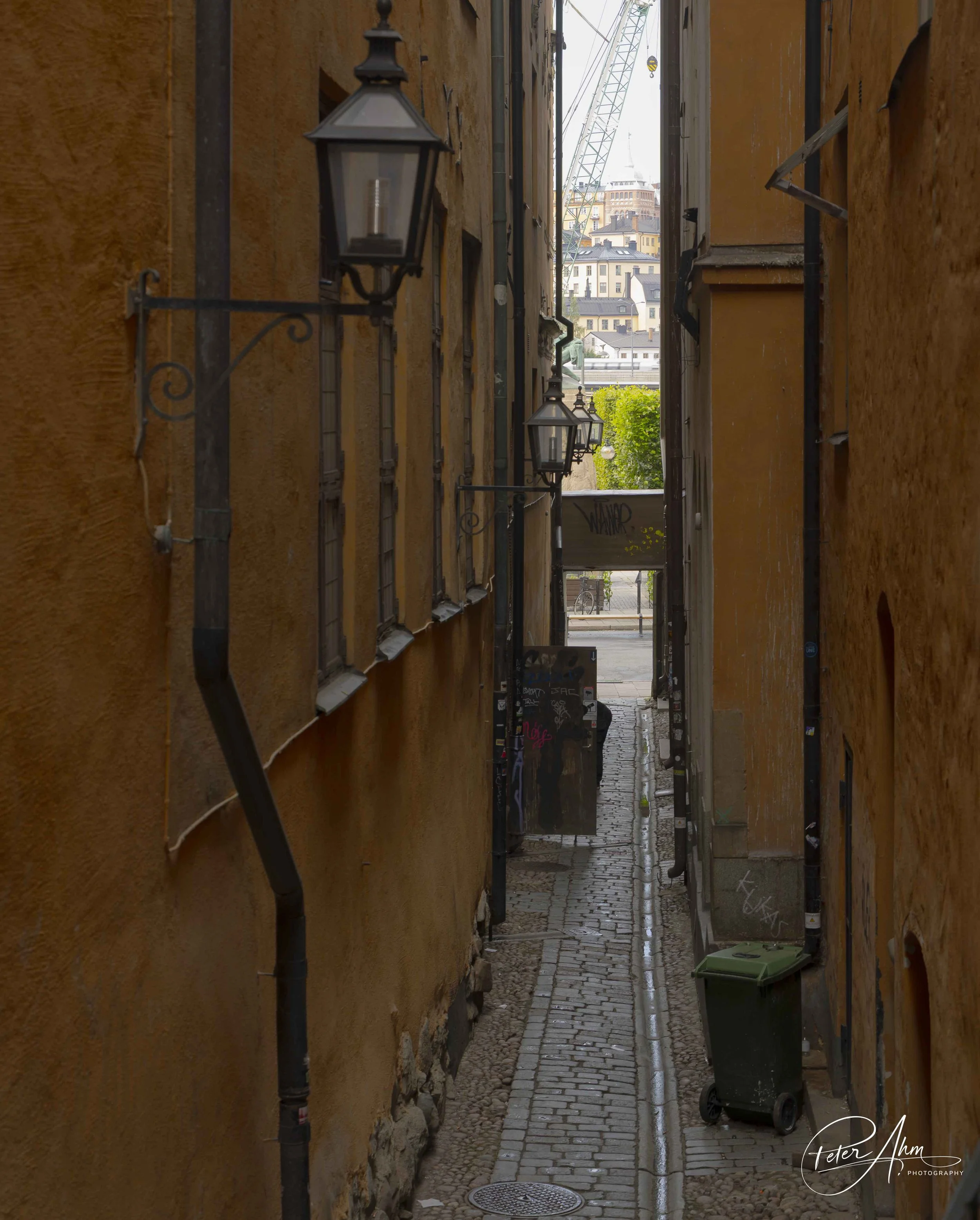 186A4704.jpg