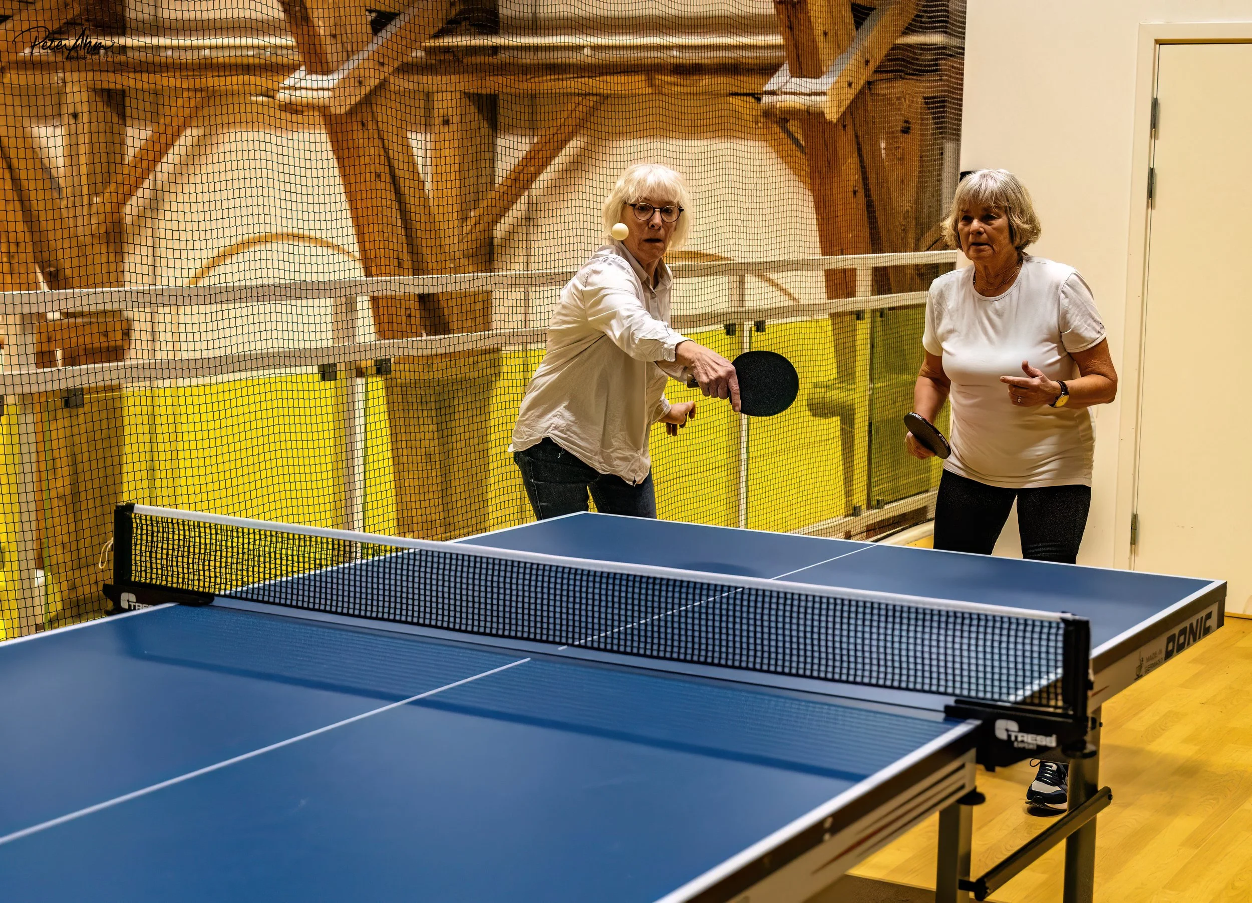 Skjold bordtennis 01 (29).jpg
