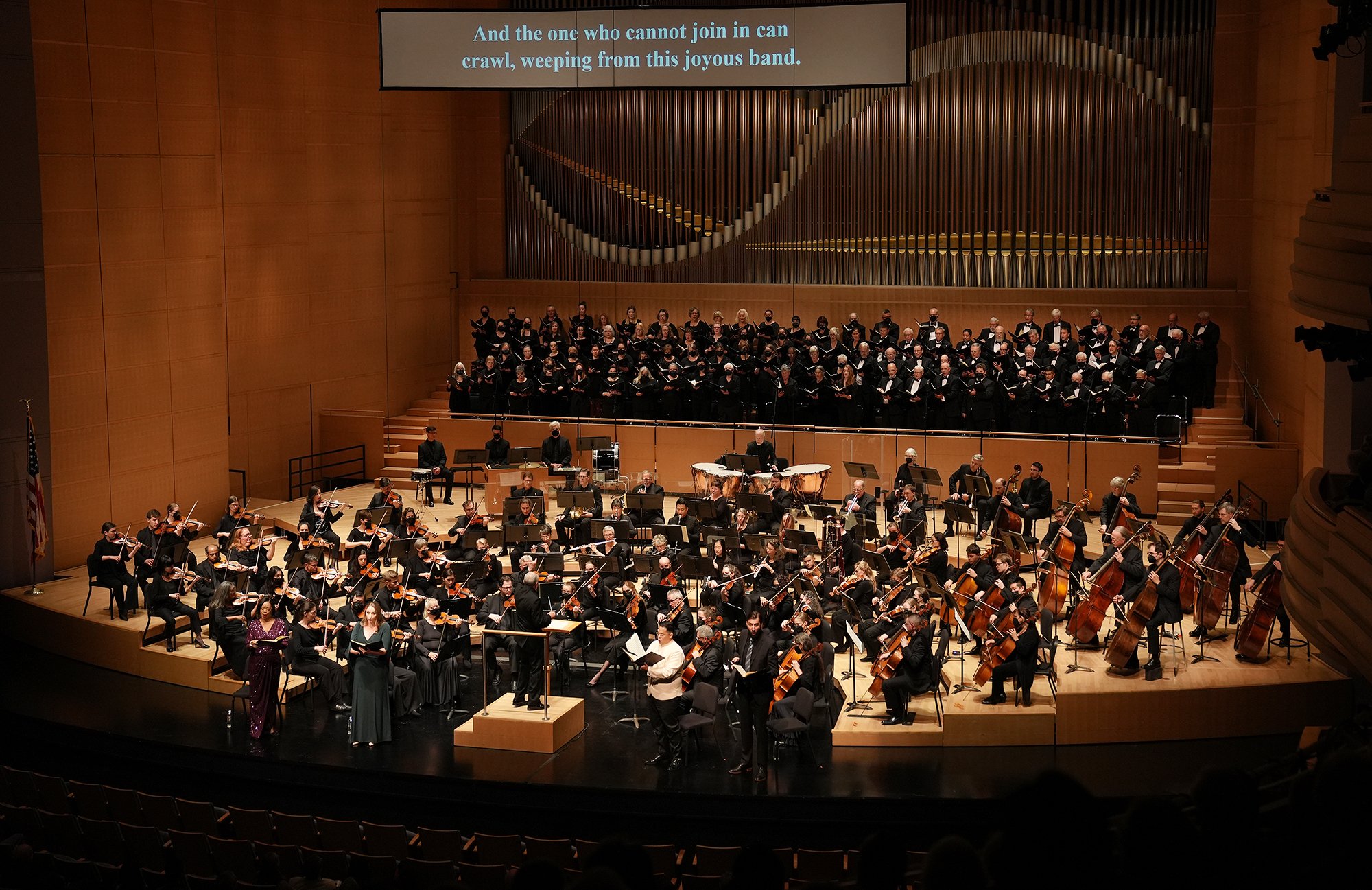 Infinite Joy - Beethoven 9 with the Madison Symphony Orchestra