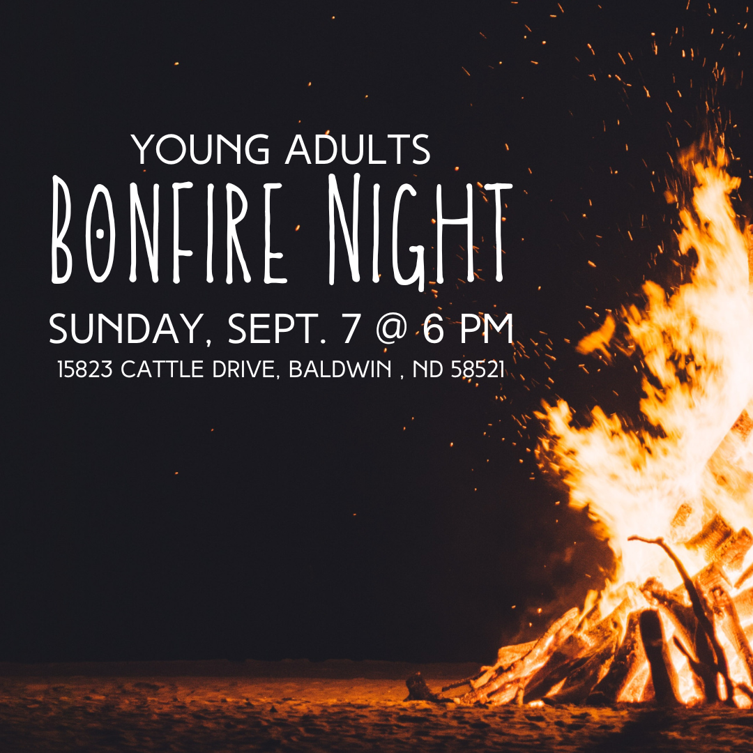 Young Adults Bonfire