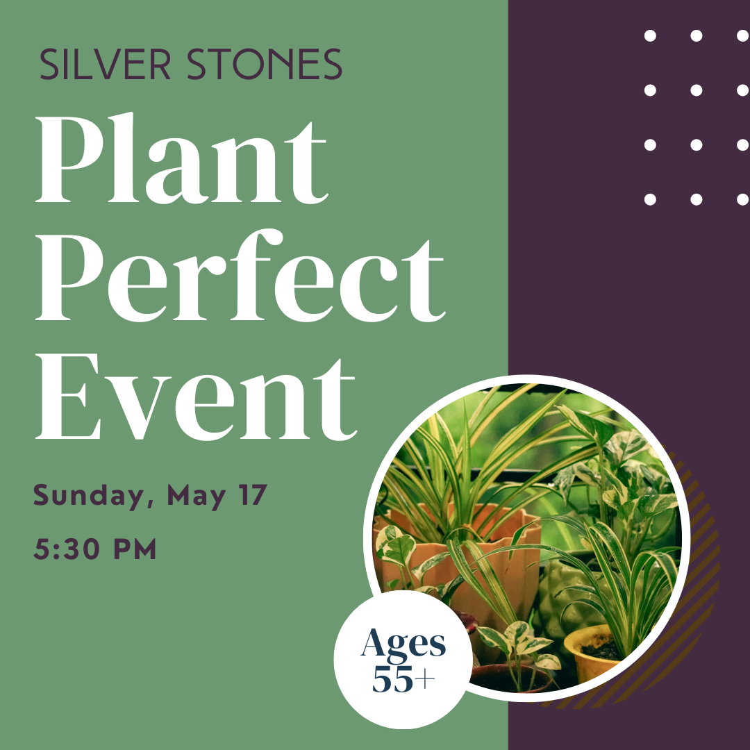 Silver Stones: Plant Perfect Event