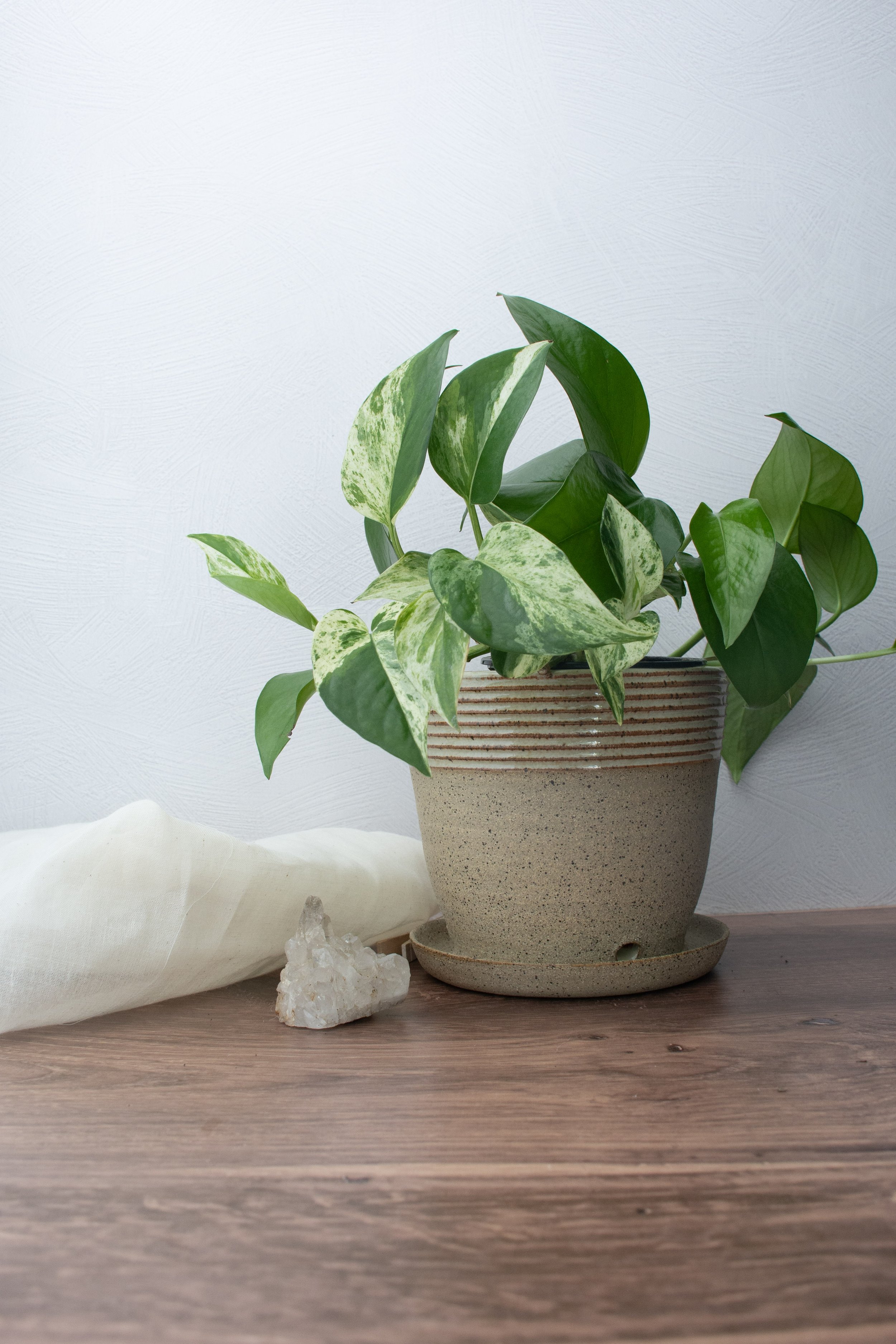 M Tan Ceramic Planter-5.jpg
