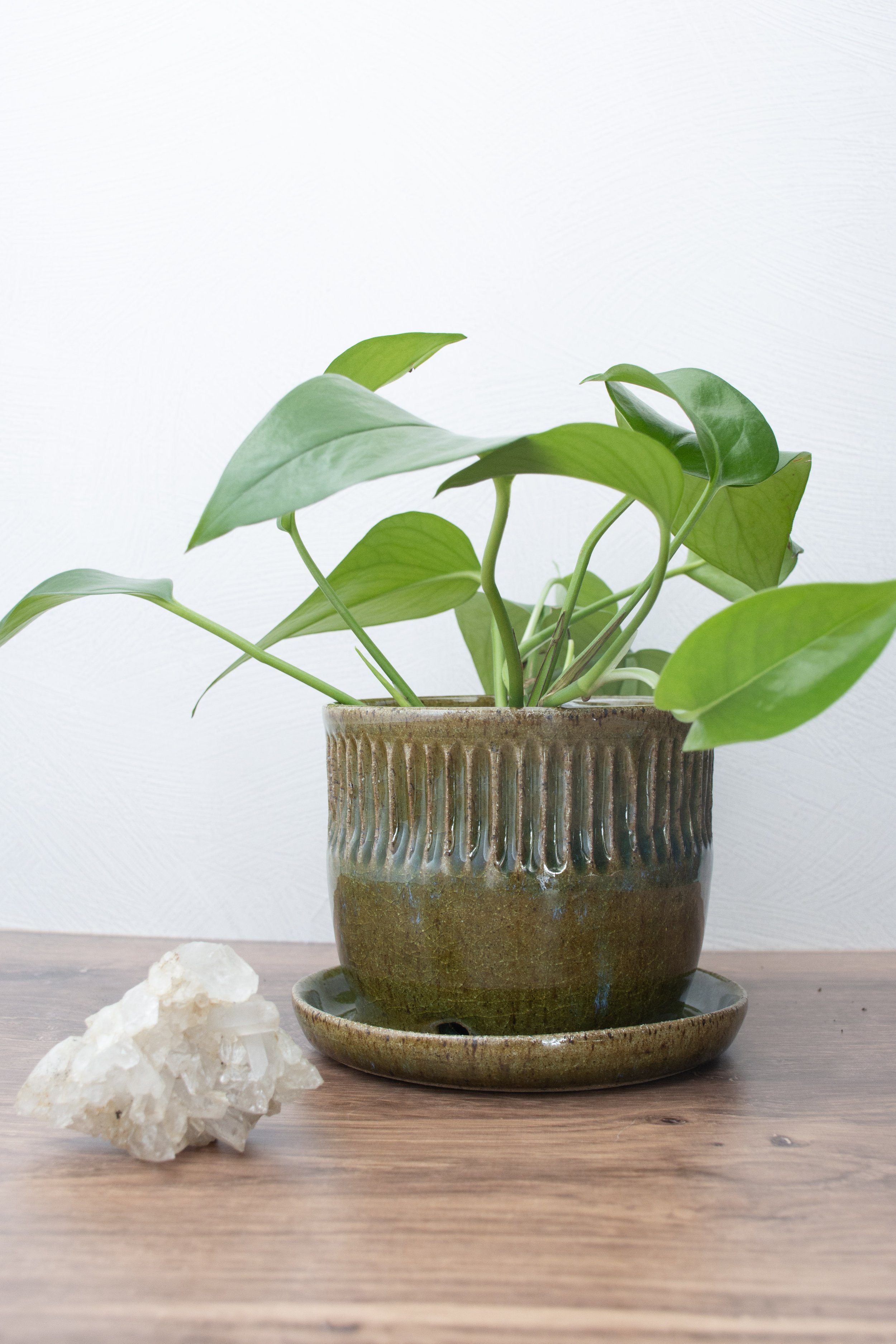 S Deep Green Ceramic Planter-6.jpg