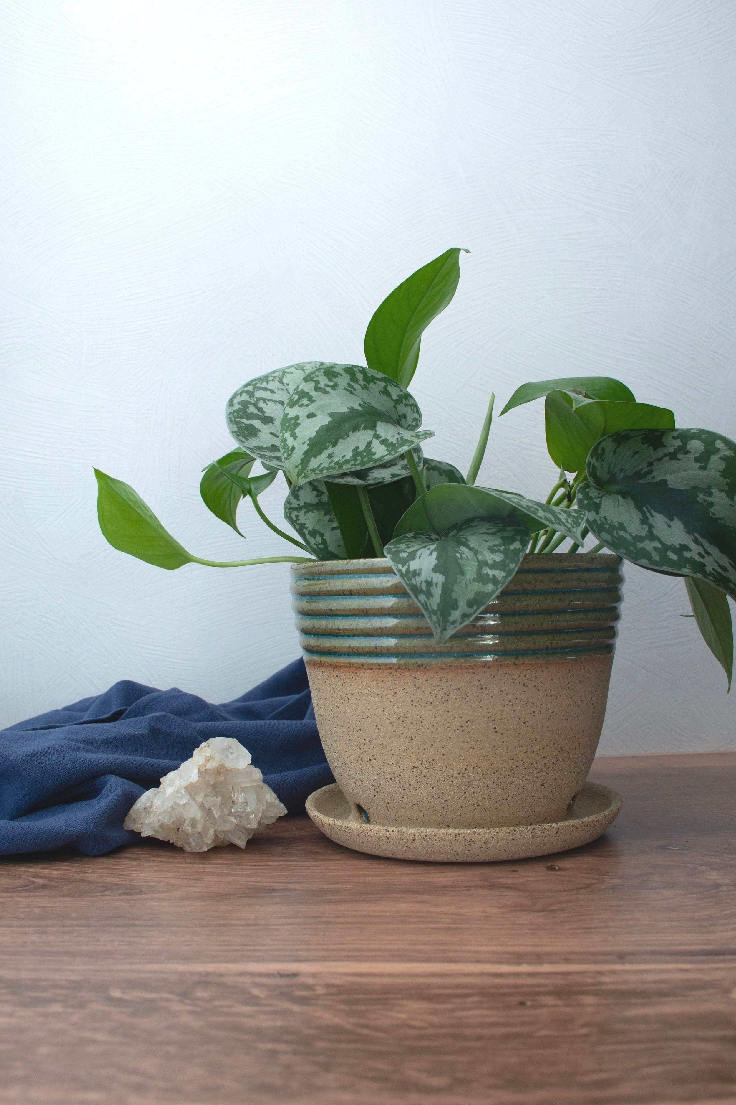 M%2BOlive%2BCeramic%2BPlanter-1.jpg