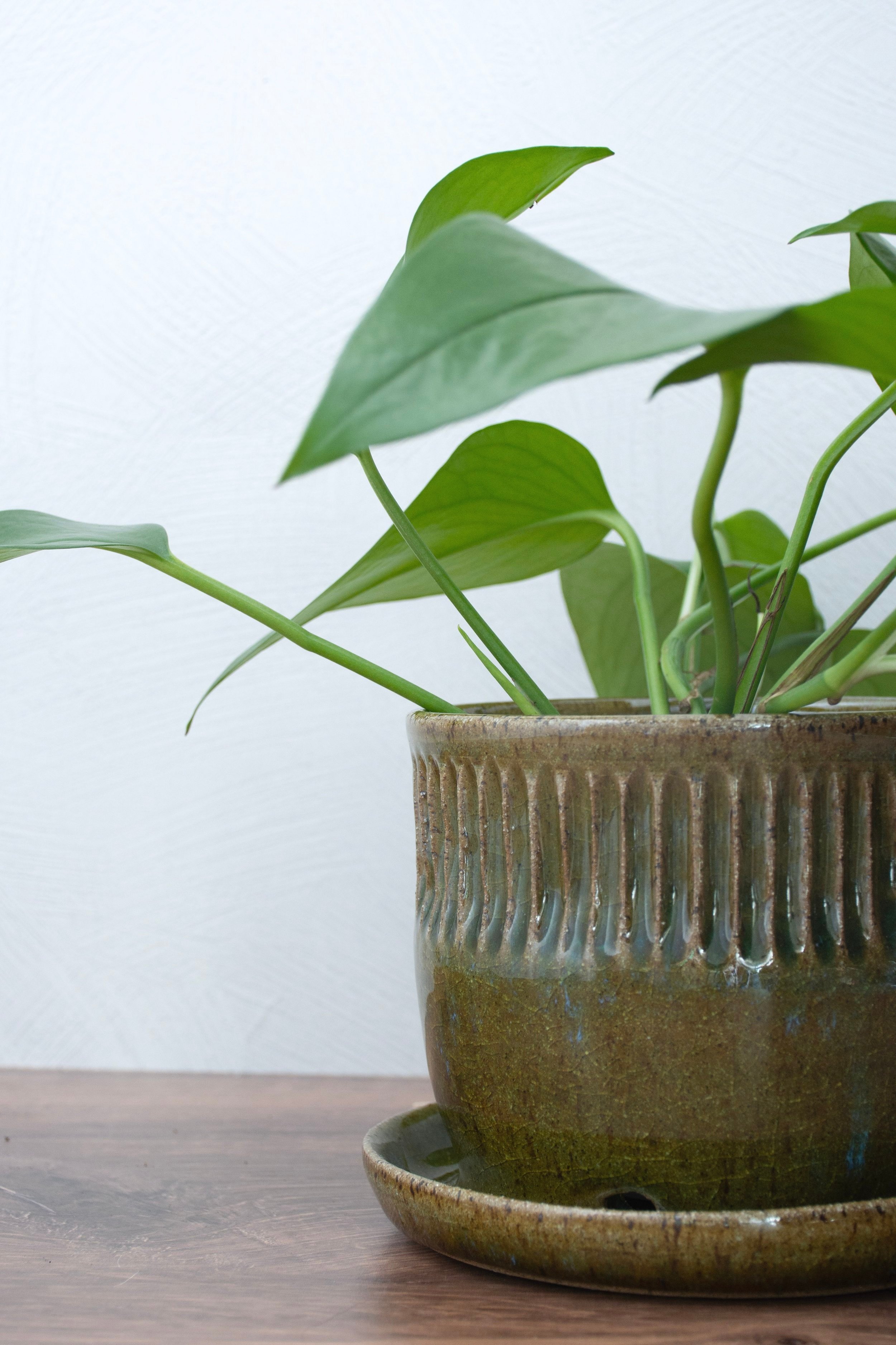 S+Deep+Green+Ceramic+Planter-5.jpg