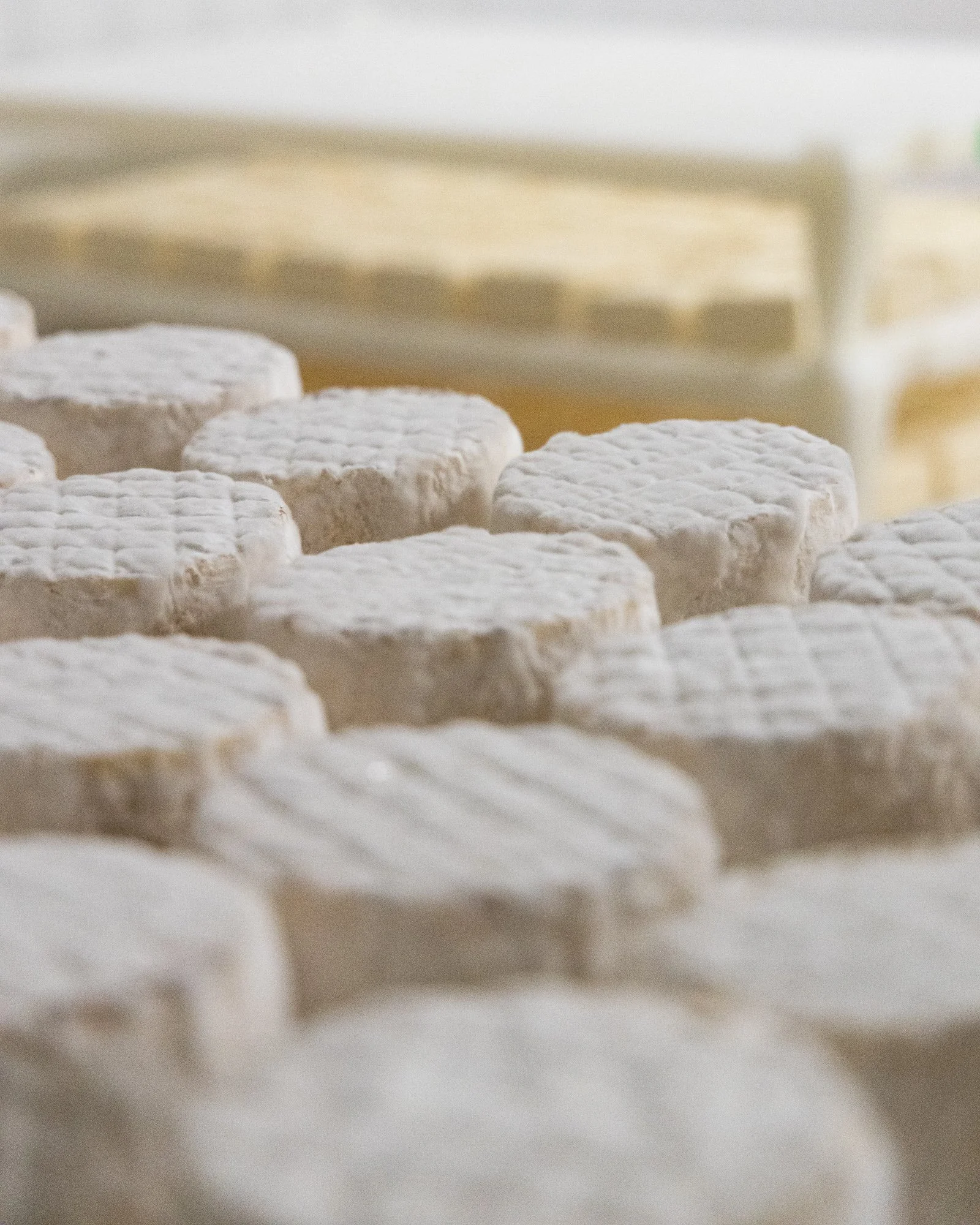 In The Limelight: Alemar Cheese Company