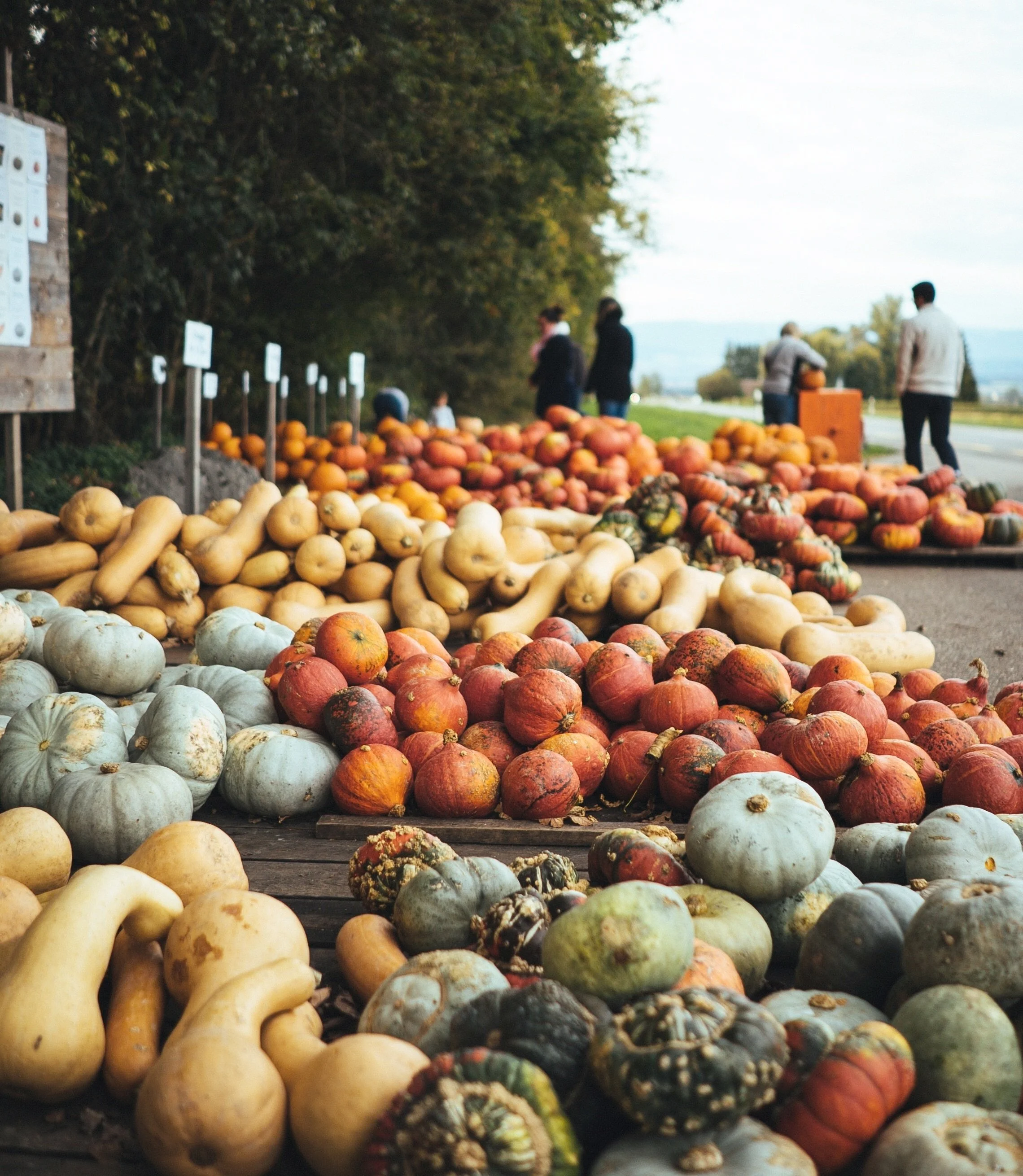Winter Squash 101