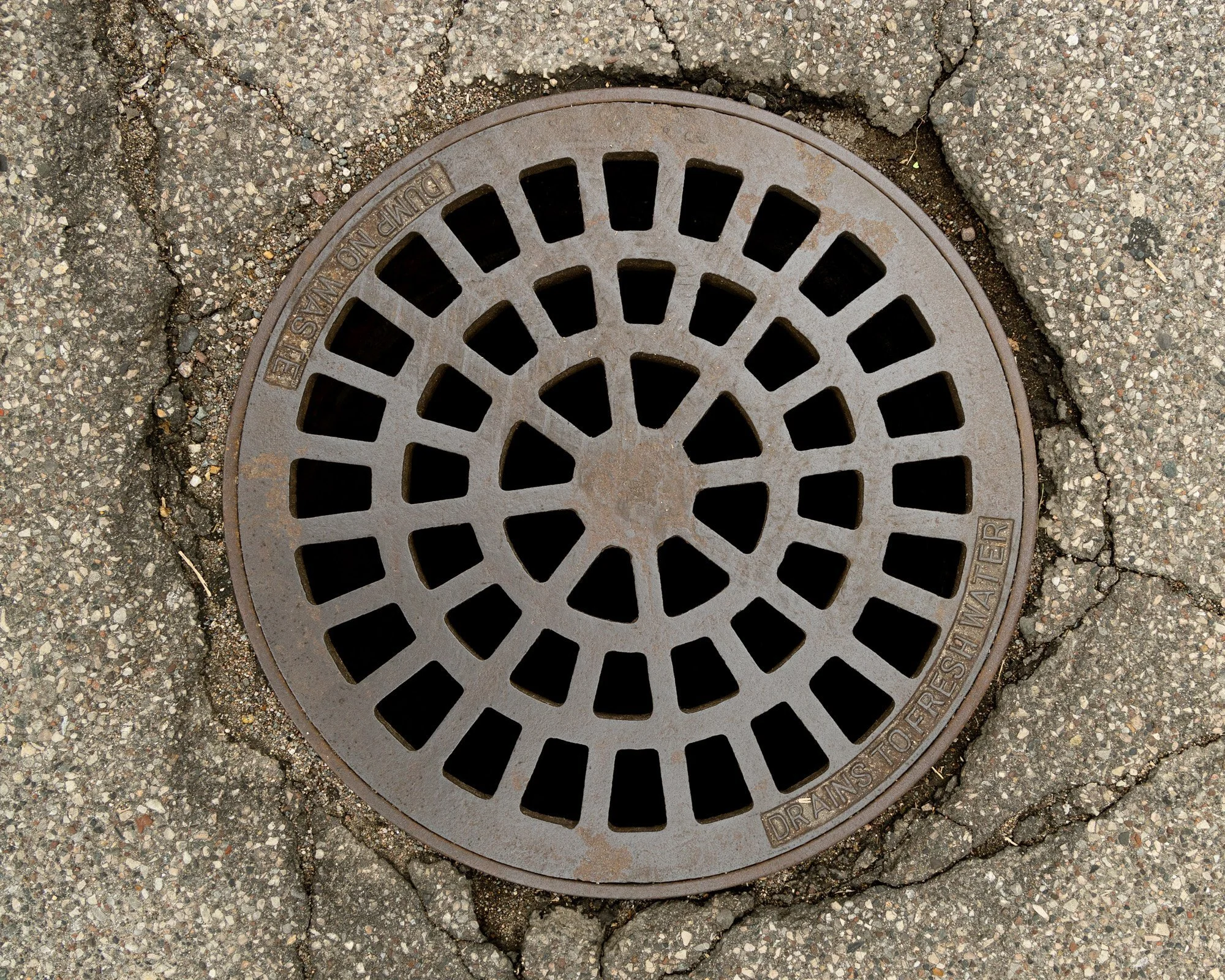 Storm Water by Michelle Spangler of Eastside's Board of Directors