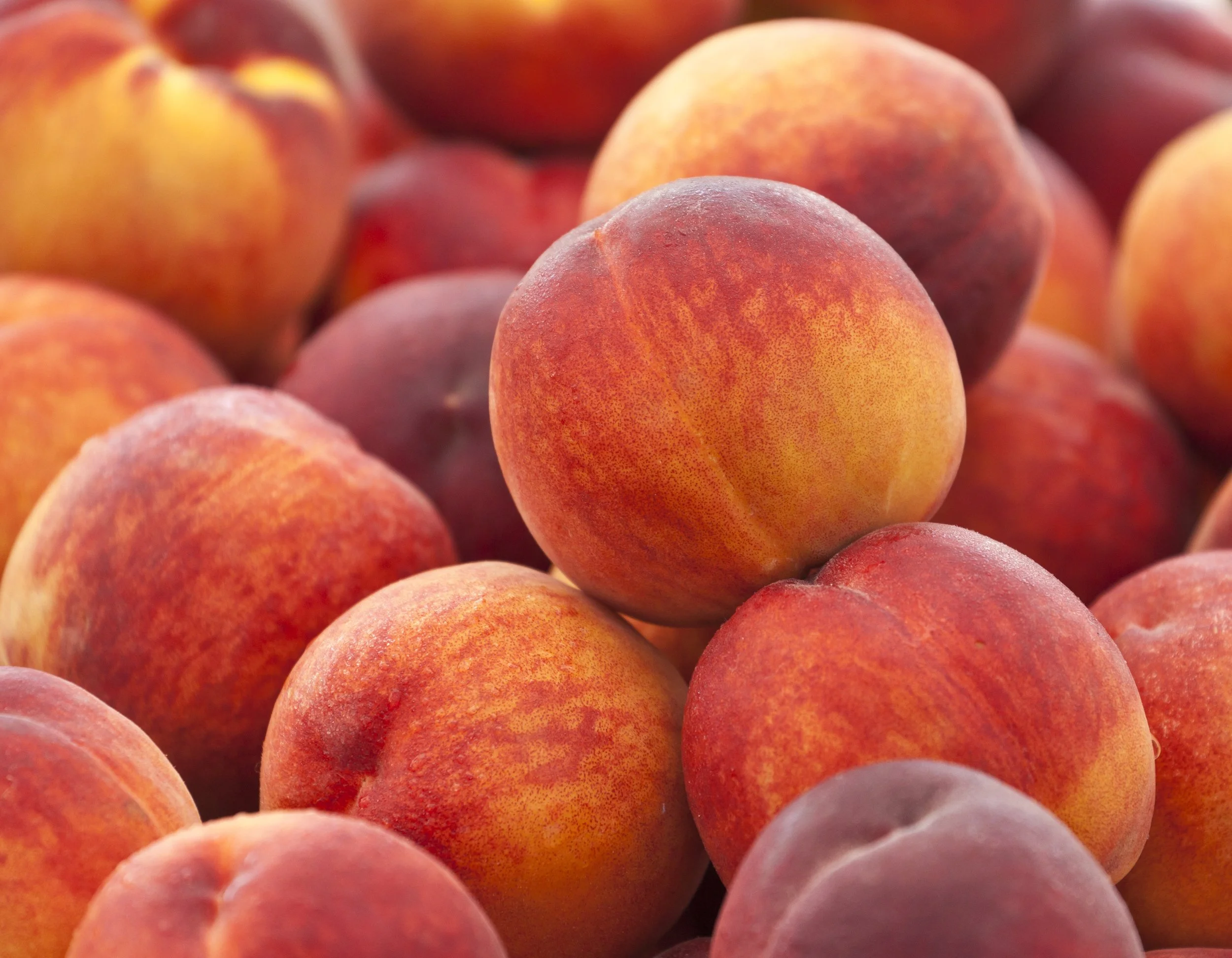 Taste of Summer: Stillwater Colorado Peaches