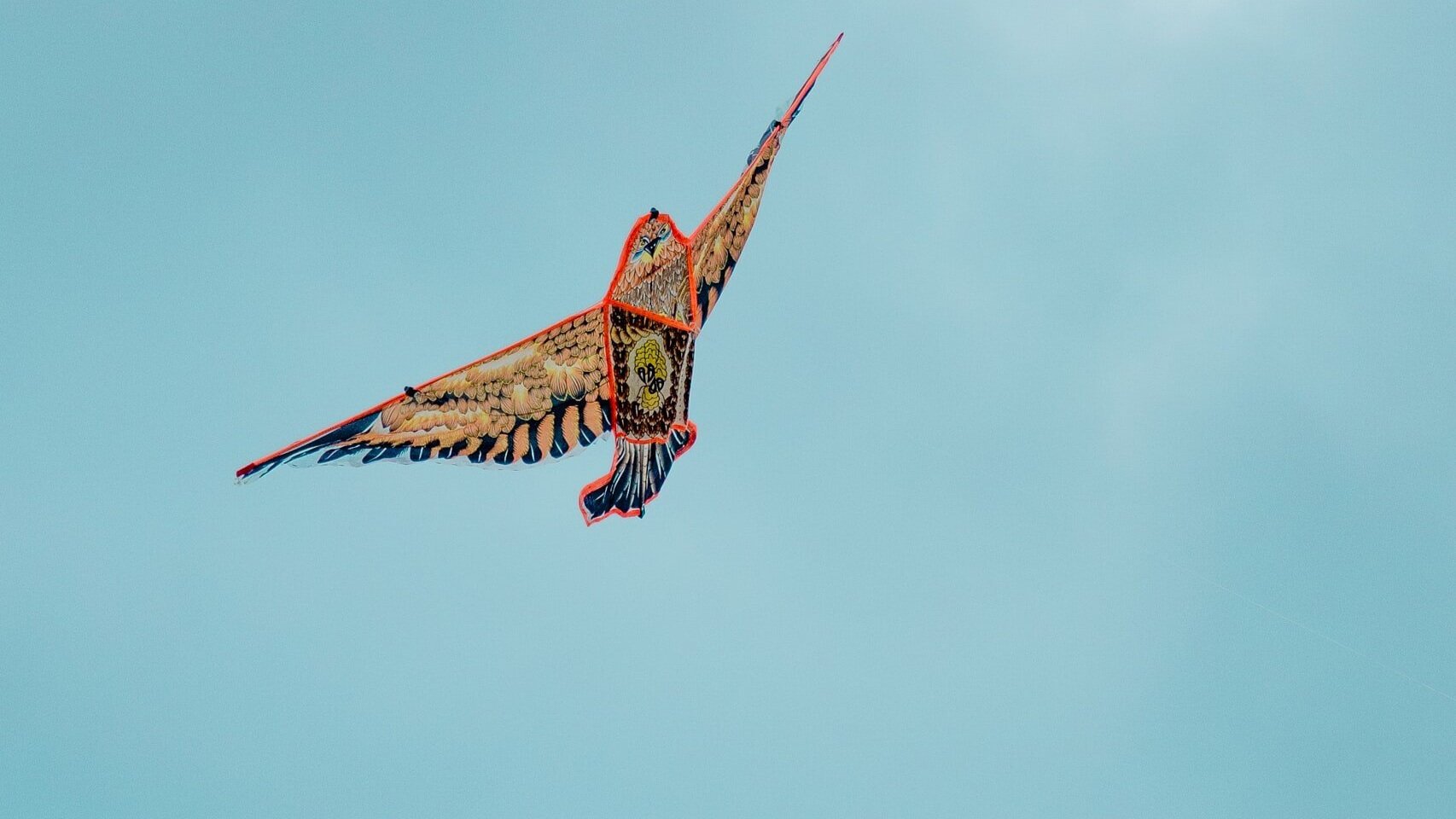 Free DIY Kite Project from Haptic Lab