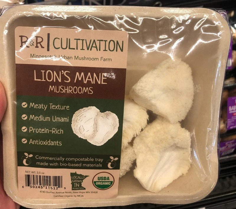 A Fungal Lion’s Quiet Roar