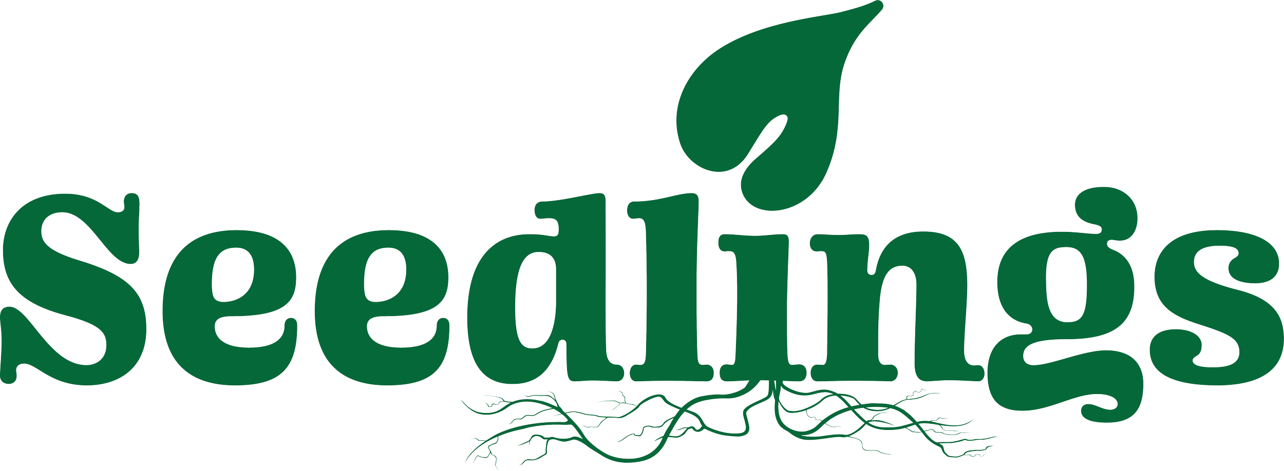 The Application Period for Seedlings 2025 is Currently Open!