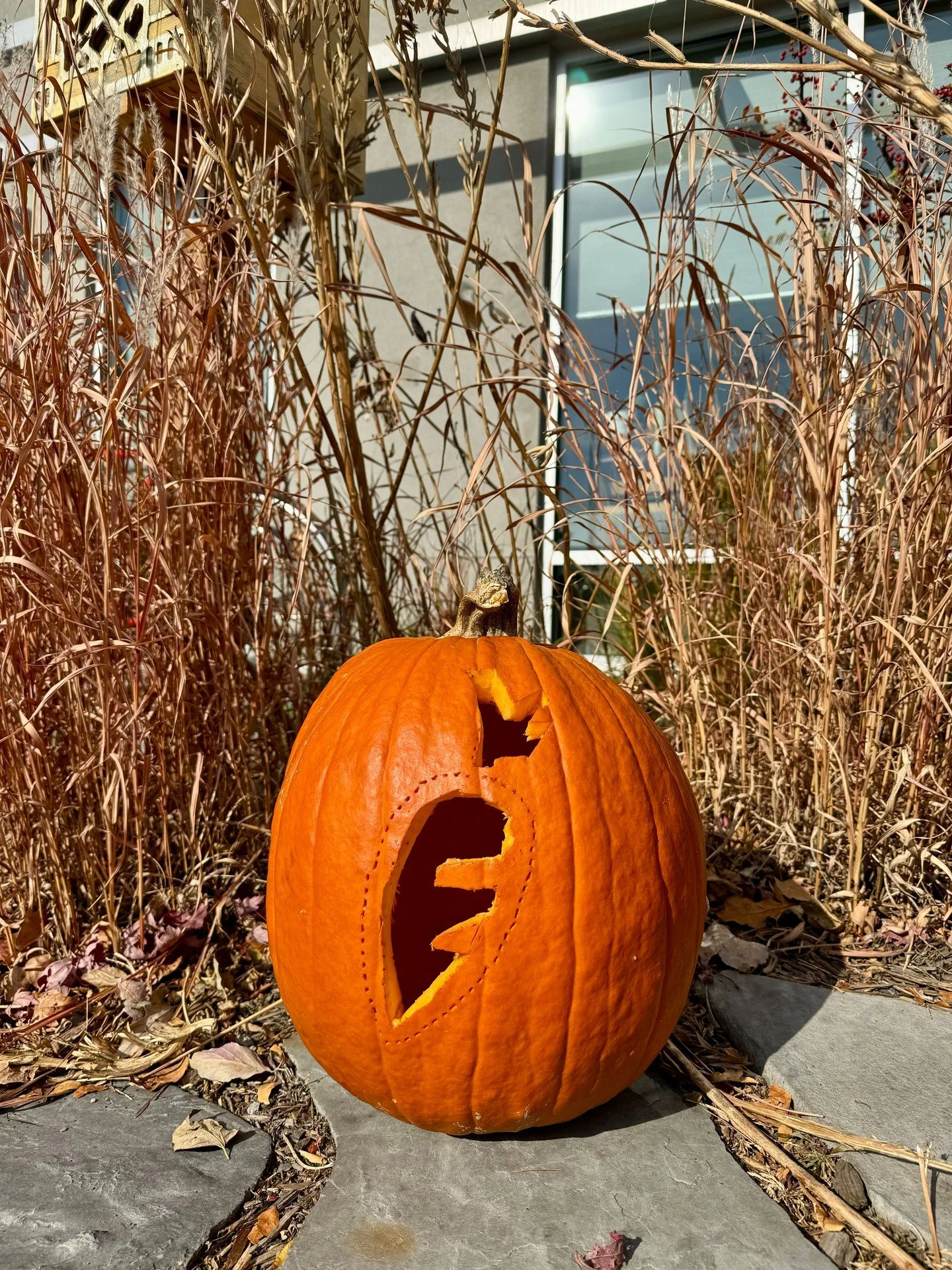Get into the spooky spirit with pumpkins from Eastside! 👻 🎃