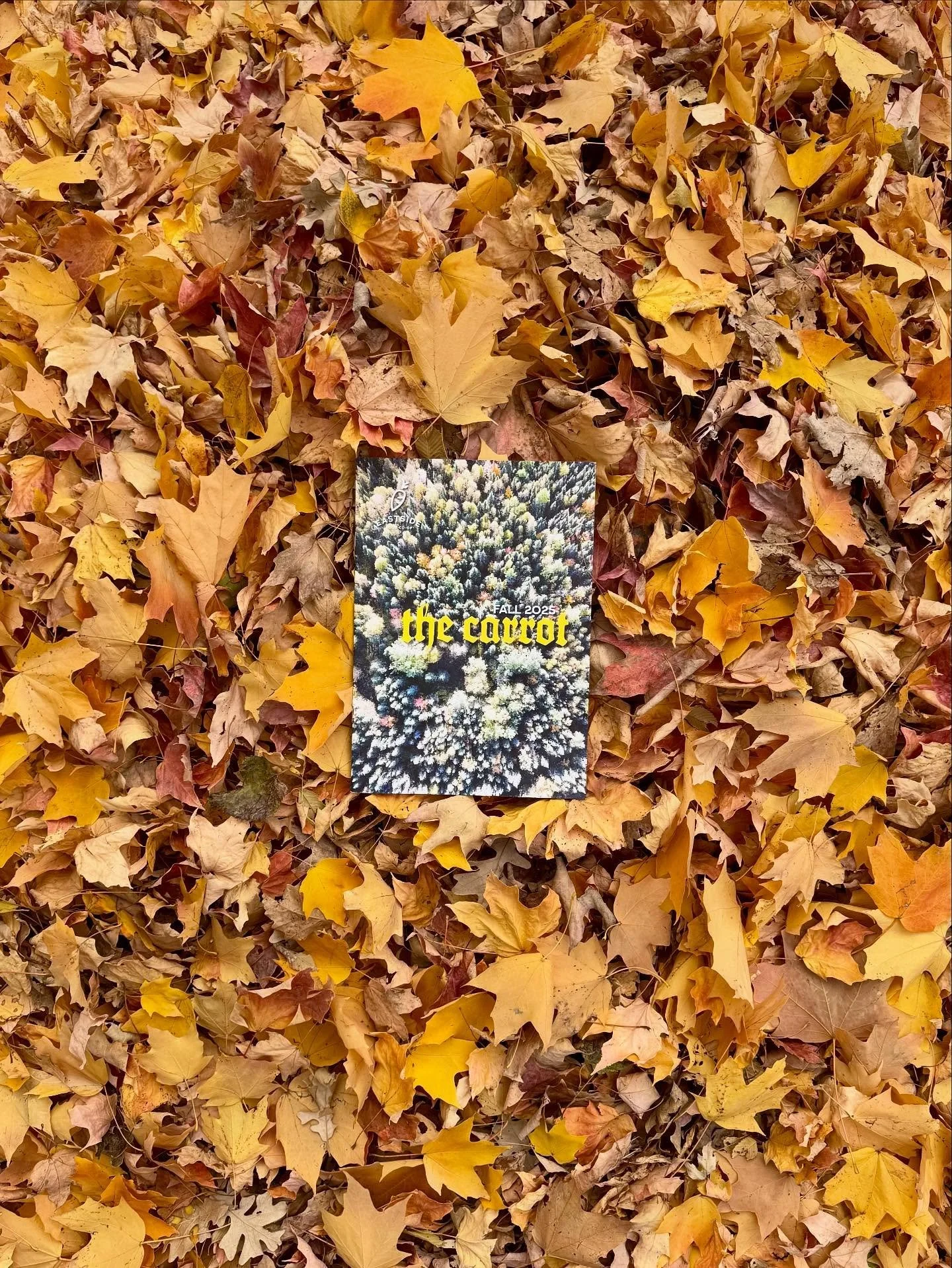 The fall issue of The Carrot has landed! 🍂🥕🍁

This issue is choke full of delicious and comforting recipes to inspire you in the kitchen through this crisp, cool season! 

Eastside Owners receive their copy of the carrot straight to the door, but 