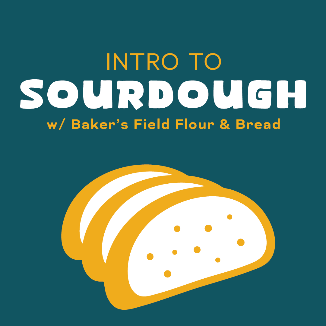 Intro to Sourdough