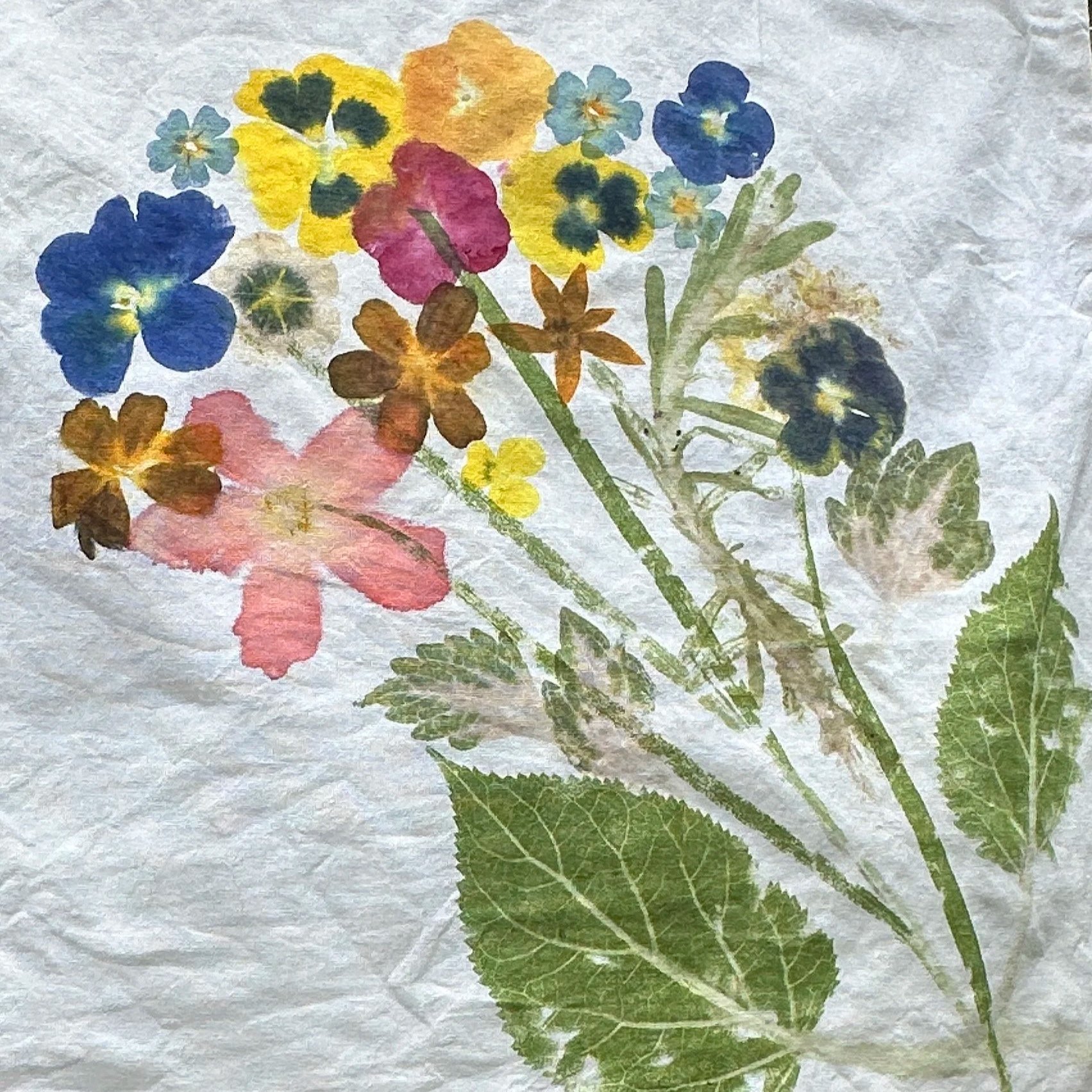 Botanical Impressions