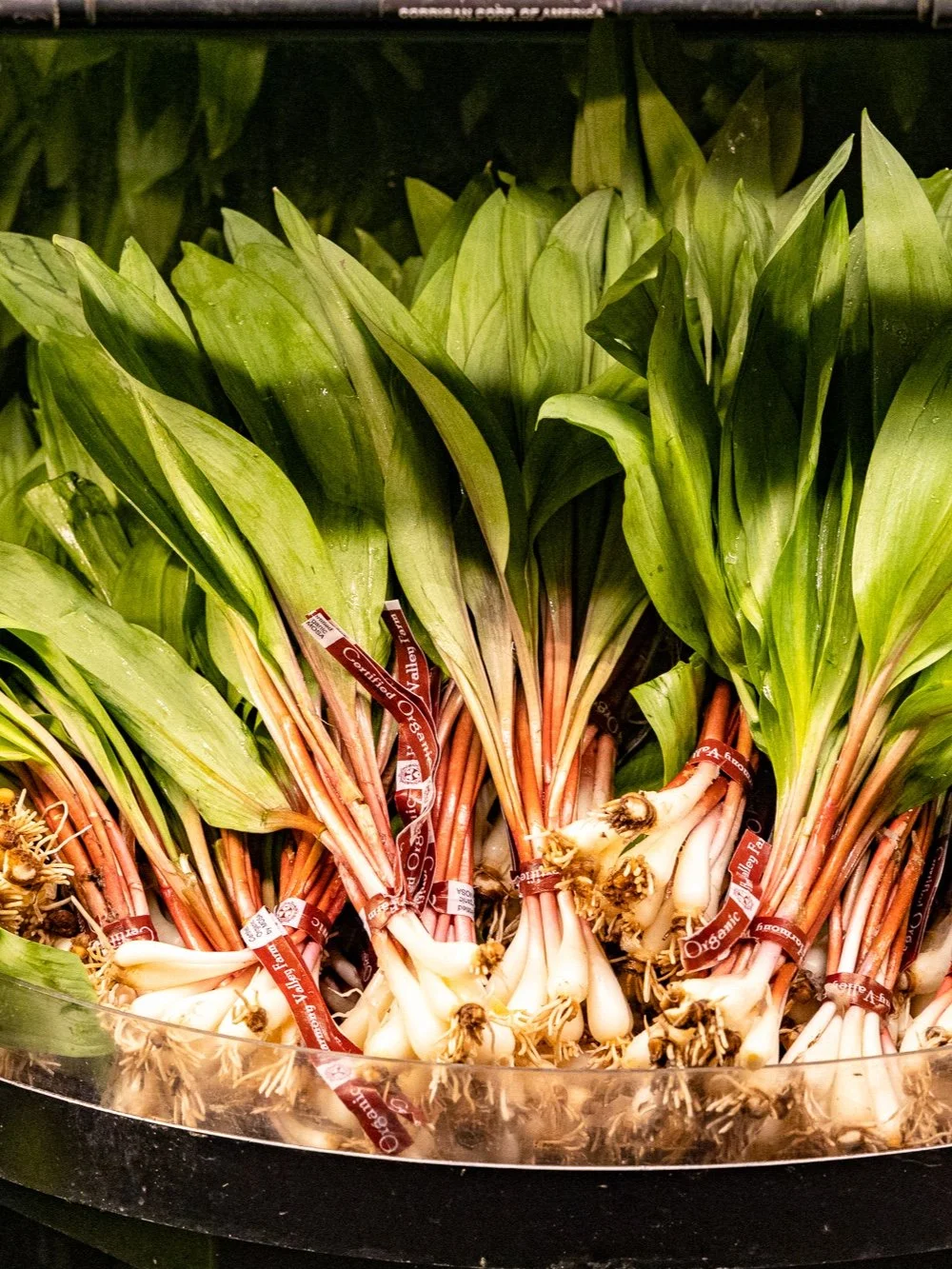 STOP WHAT YOU'RE DOING: RAMPS ARE HERE! 
A fleeting wild allium available ONLY for a few weeks each spring! Ramps are a highly sought after seasonal vegetable (they're like the spring ephemerals of the produce world. IYKYK). Their raw flavor is sharp