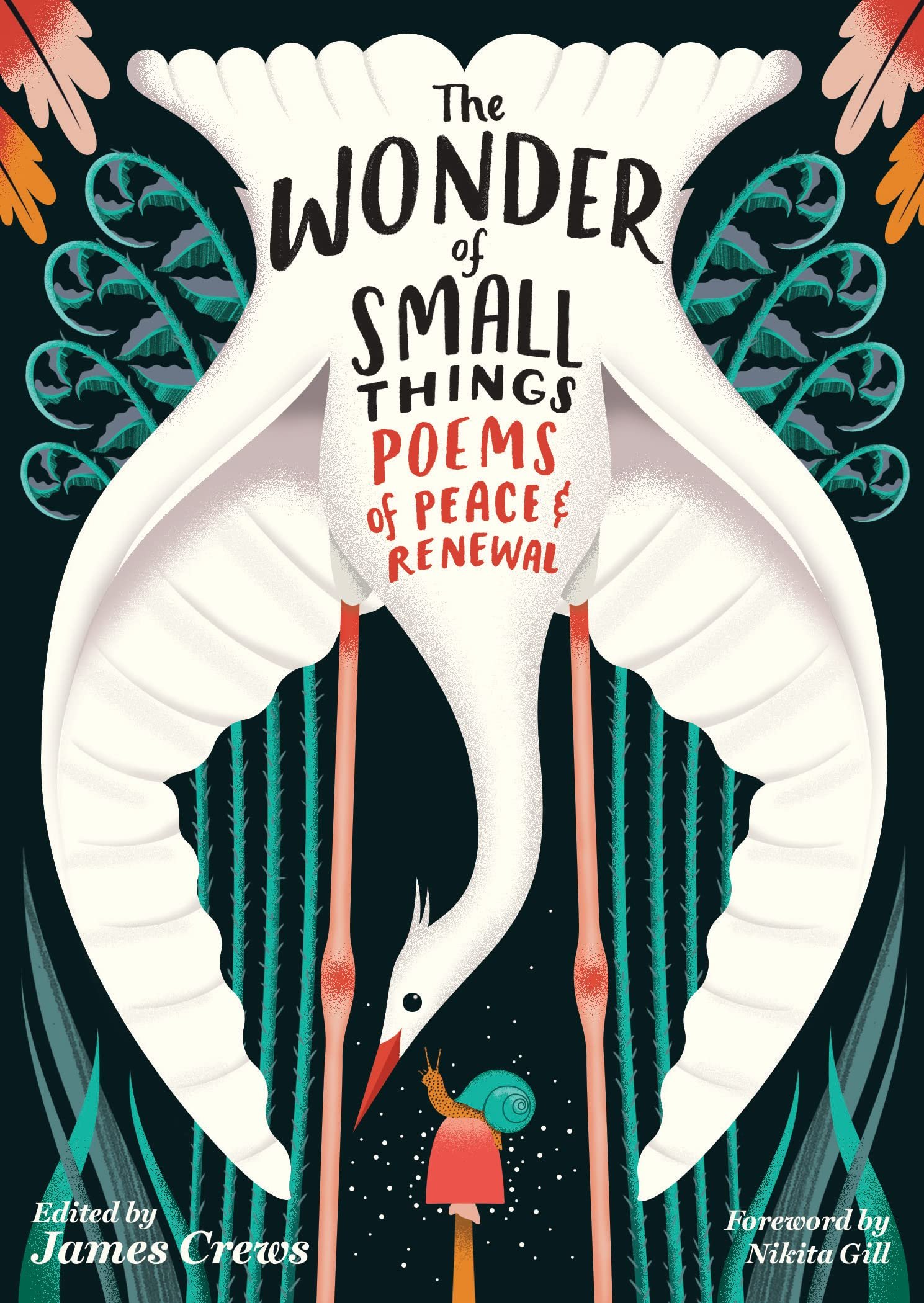 James Crews The Wonder of Small Things.jpg