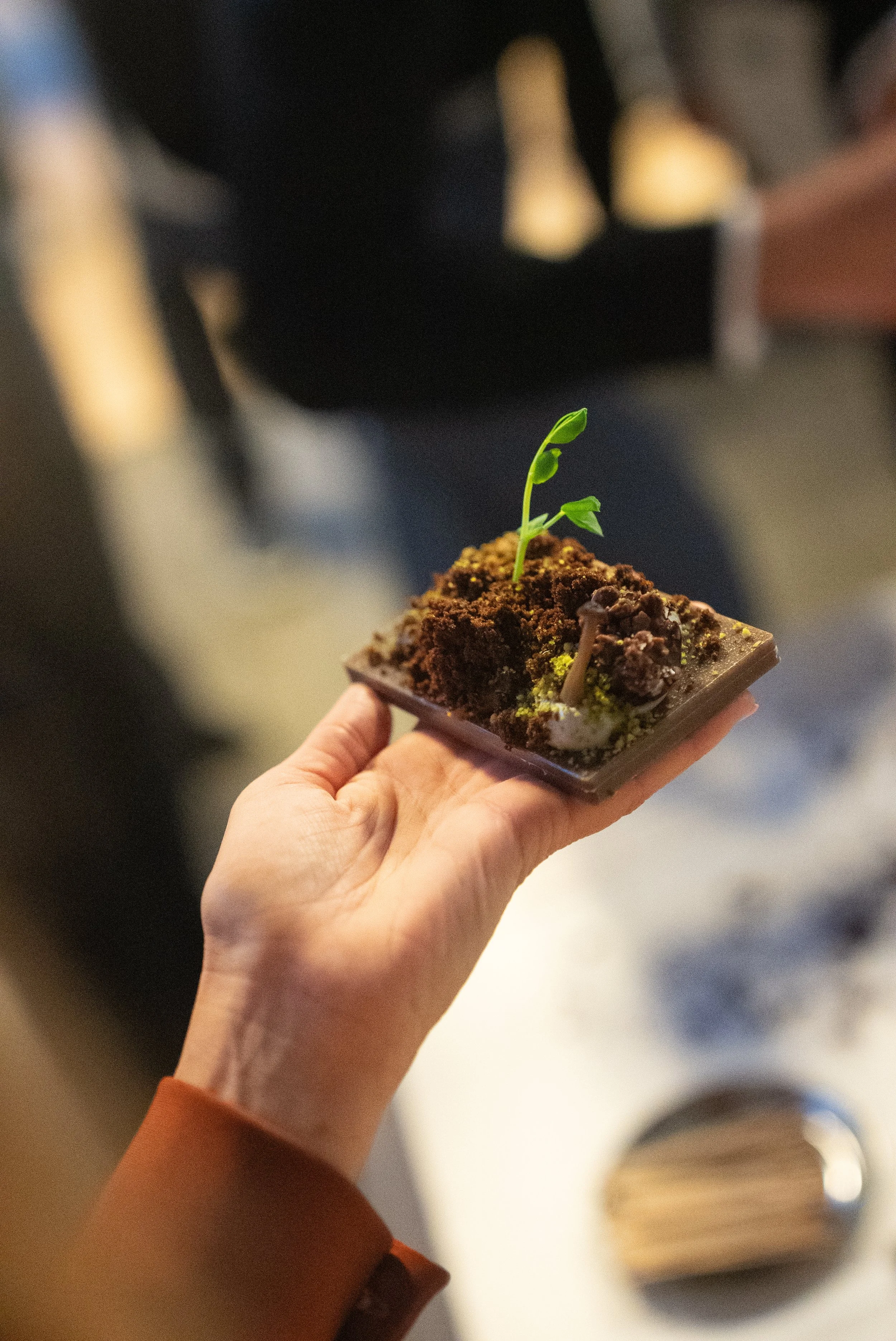 Sustainable food design, Immersive culinary experience, TrendFEST 2023 food showcase, Earth healing trend exploration, Local ingredient sourcing, Barcelona food artistry, Experiential event catering, Creative food concepts, Seasonal colour trends, Ec