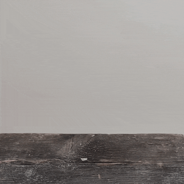 ezgif.com-optimize (10).gif