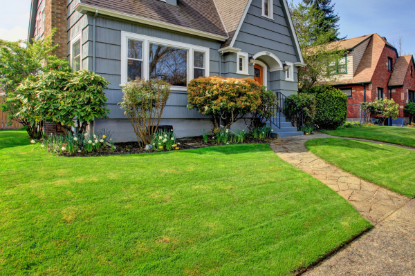 wonderful home lawn
