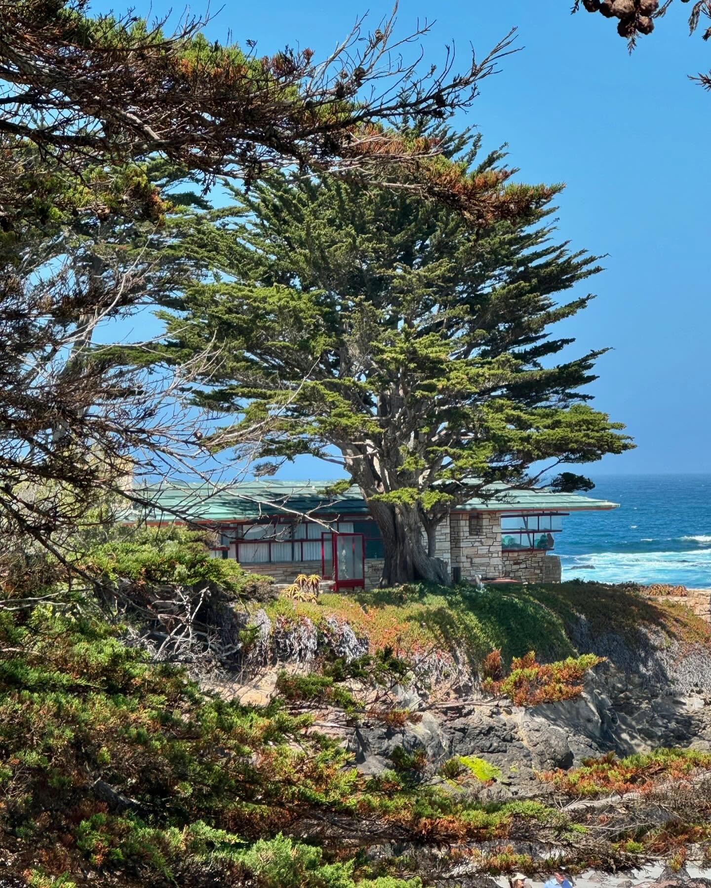 &hellip;perfectly situated&hellip;
Frank Lloyd Wright&rsquo;s classic gem, the Clinton Walker House 🤩

#carmelbytgesea #classicmodern #midcenturymodern #feelrightwhereyoulive