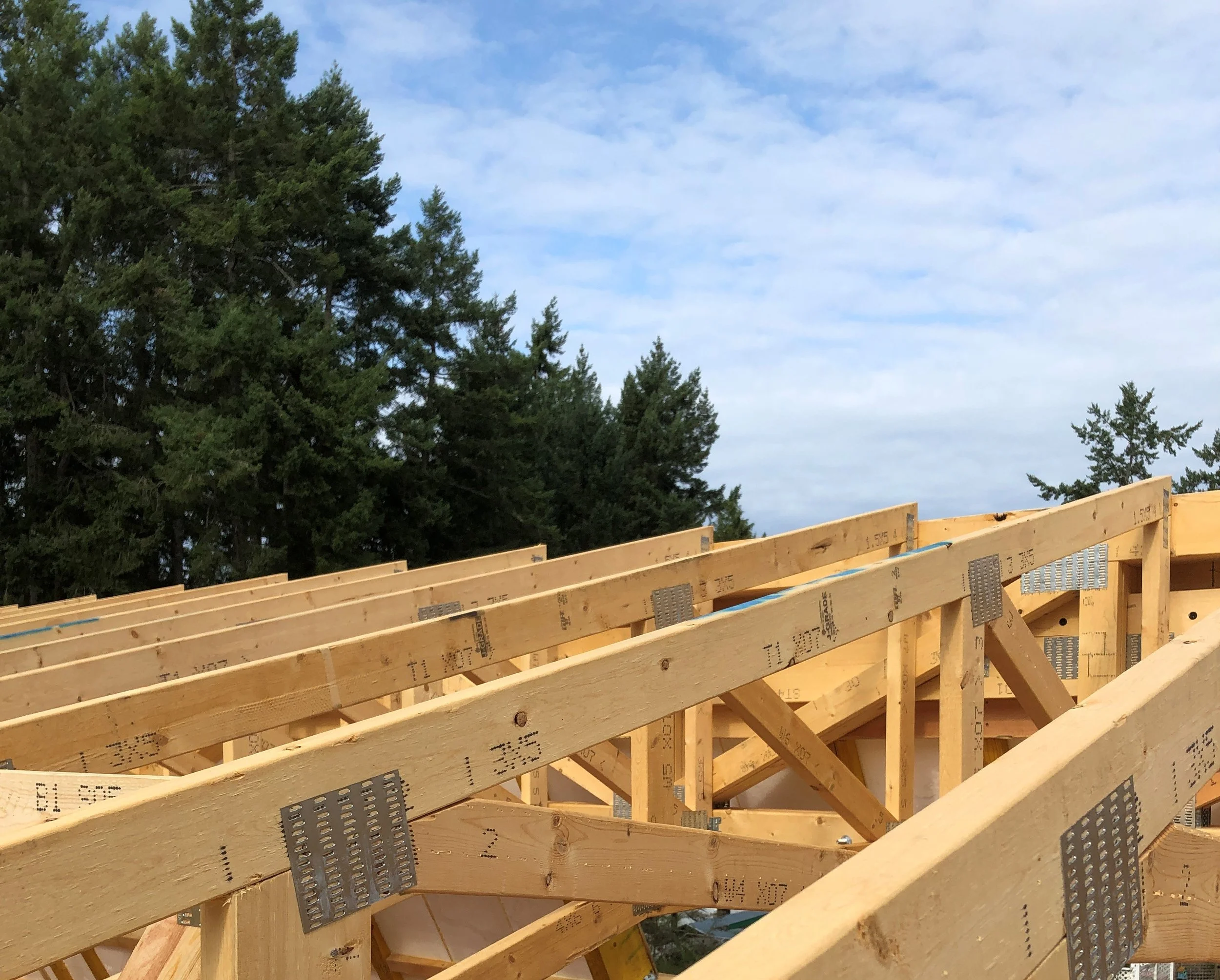 trusses.jpg