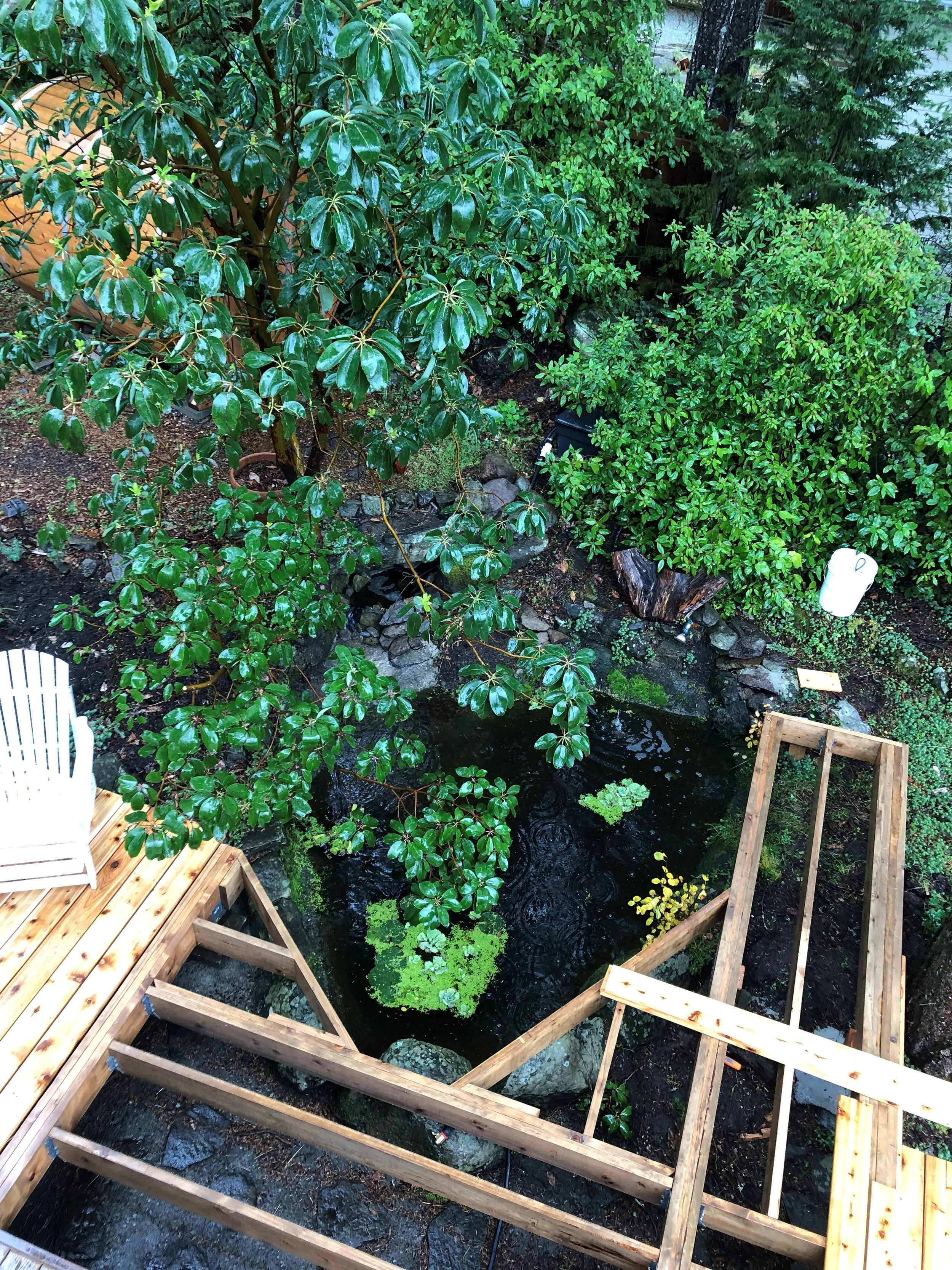 deck framing a pond