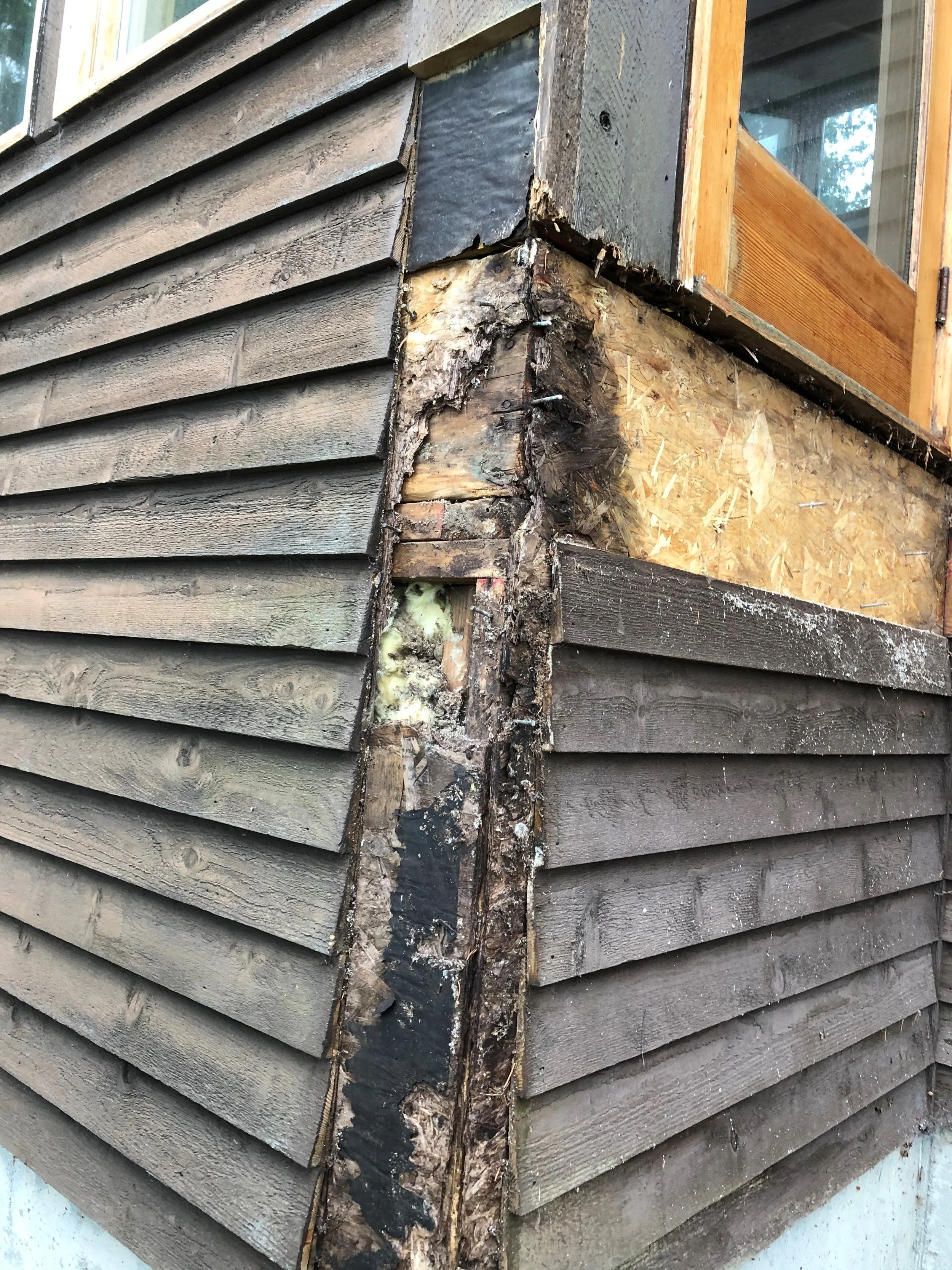 water damage uncovered during construction