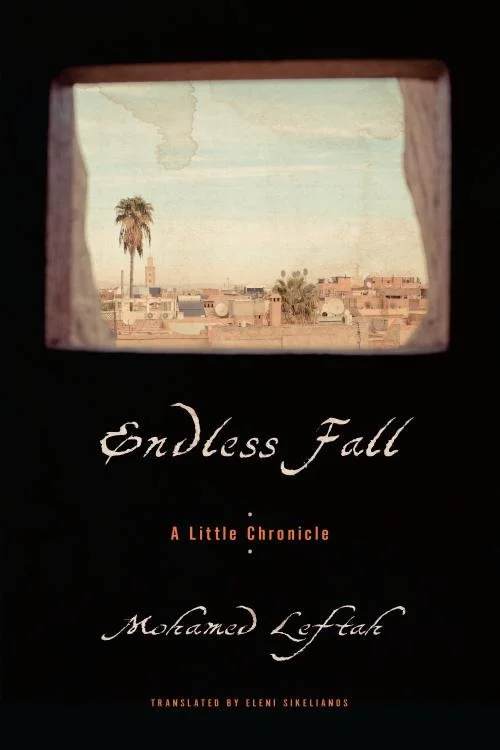 Endless Fall by Mohamed Leftah translated from the French by Eleni Sikelianos