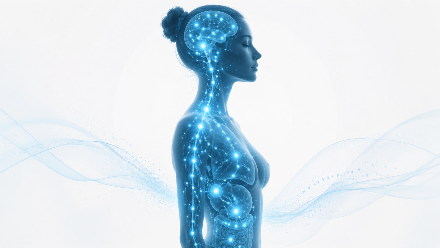 Why Stress Feels Different Than It Used To: The Science of the Endocannabinoid System and Your Resilience Reserve