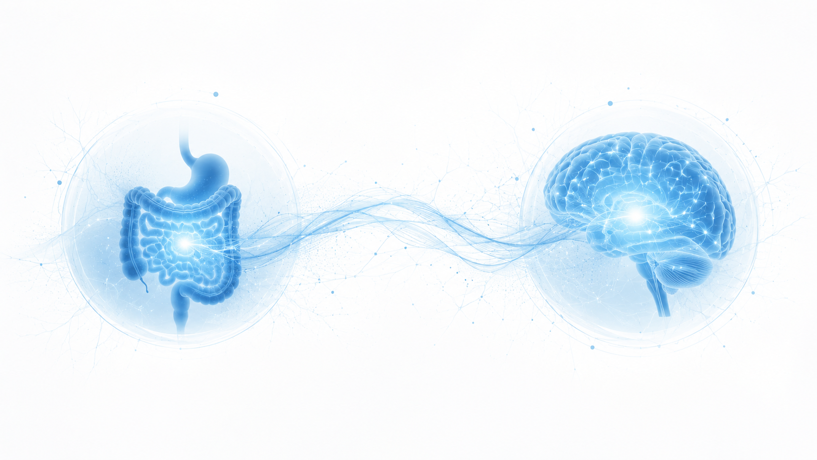 The Gut-Resilience Connection: Why Stress Lives in the Body, Not Just the Mind