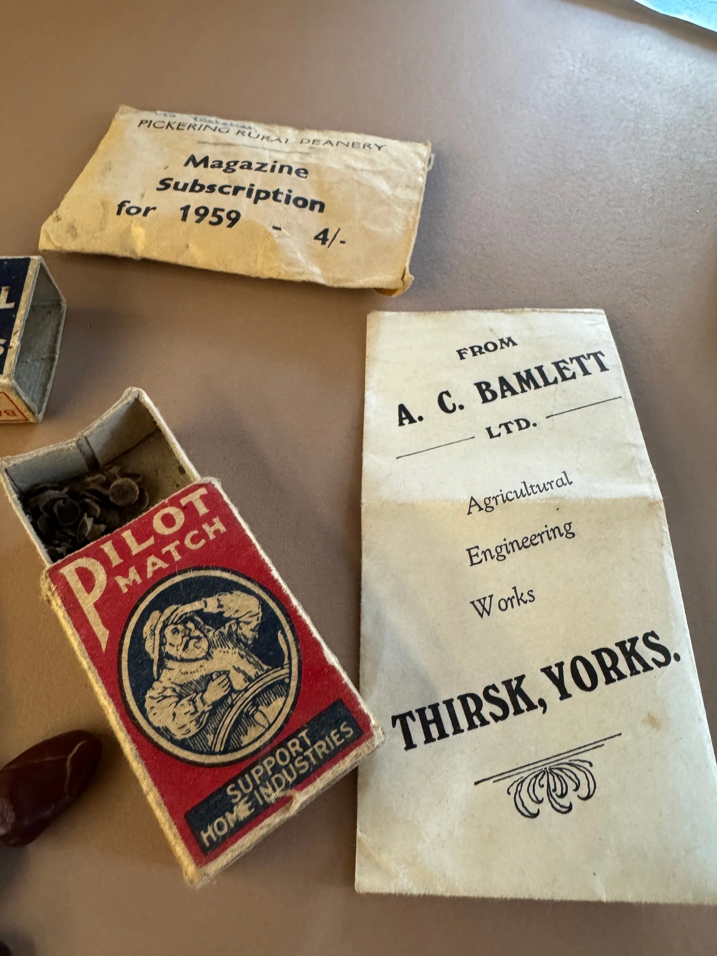 Great Uncle Eric’s Old Seeds — Our Plant Stories