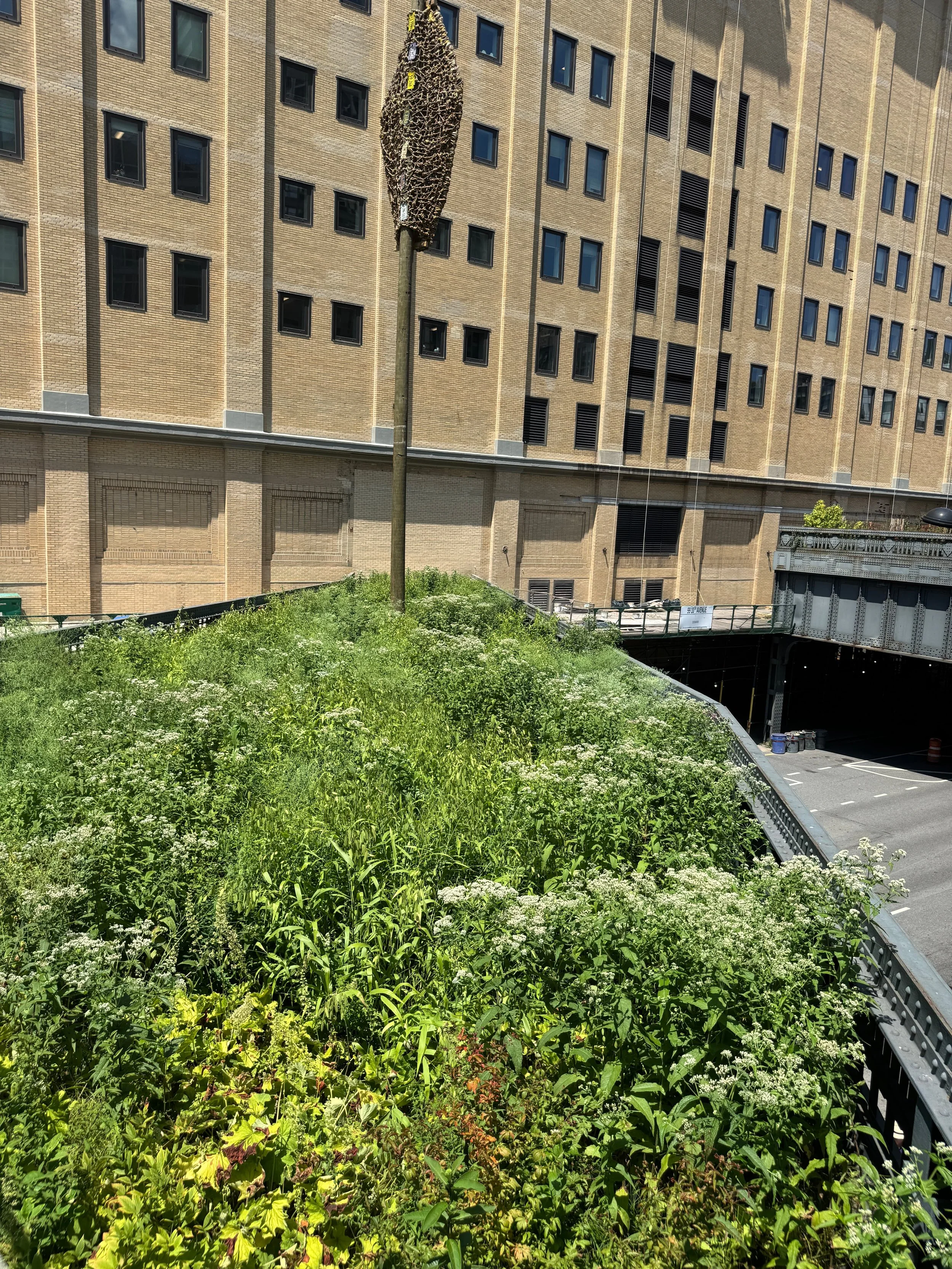 Richard Hayden with the story of the New York High Line — Our Plant Stories